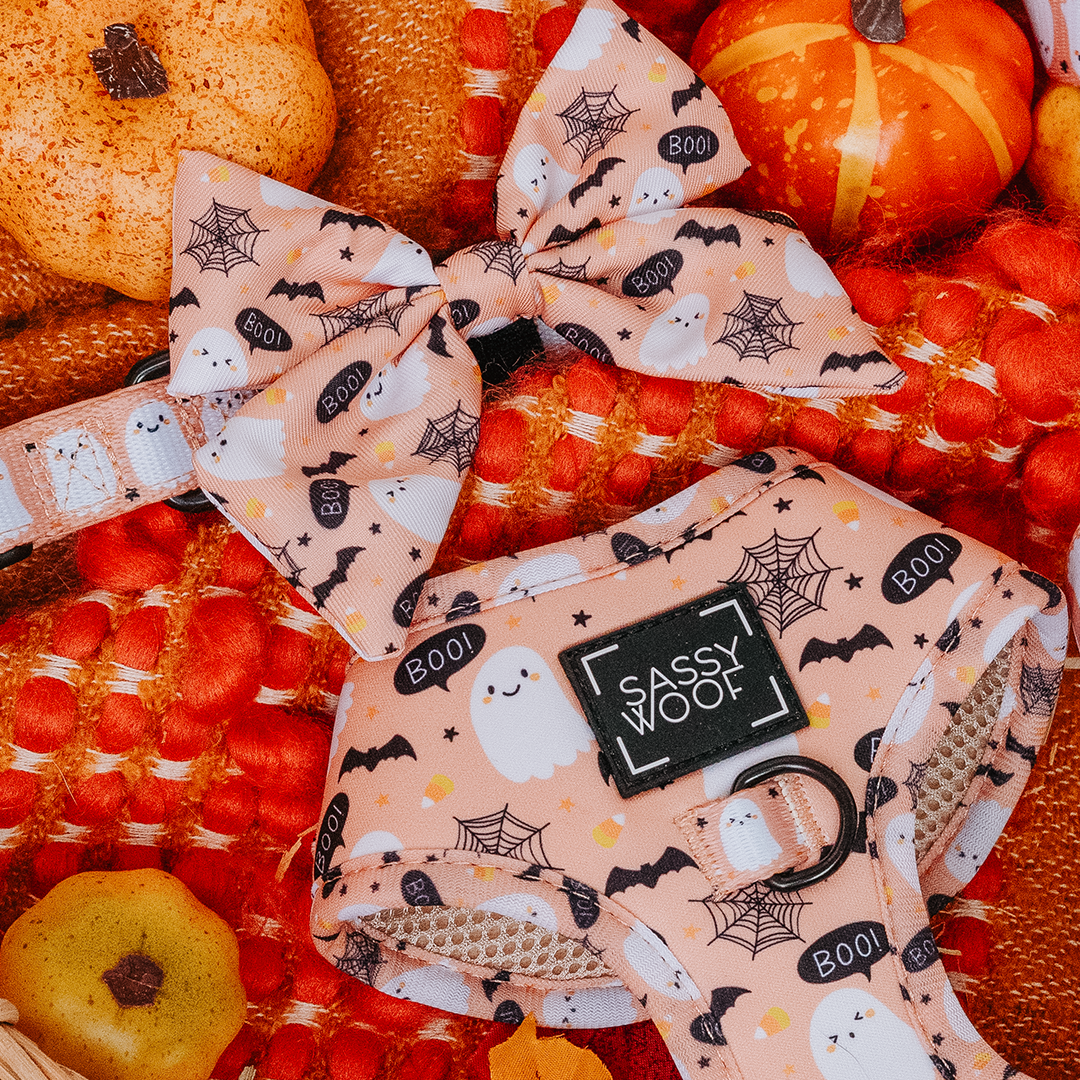 Dog Sailor Bow - Squad Ghouls