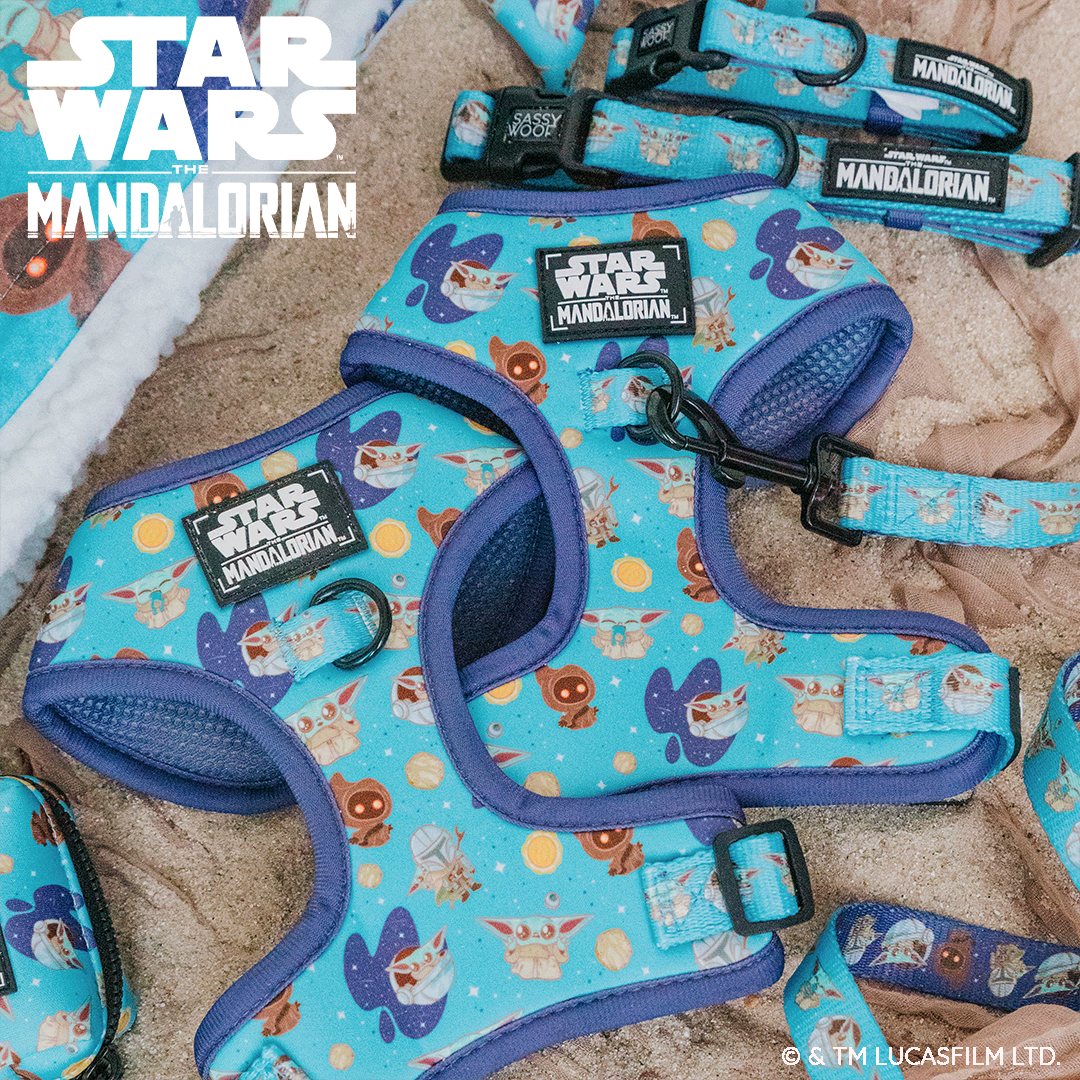 Dog Two Piece Bundle - STAR WARS™ The Mandalorian™