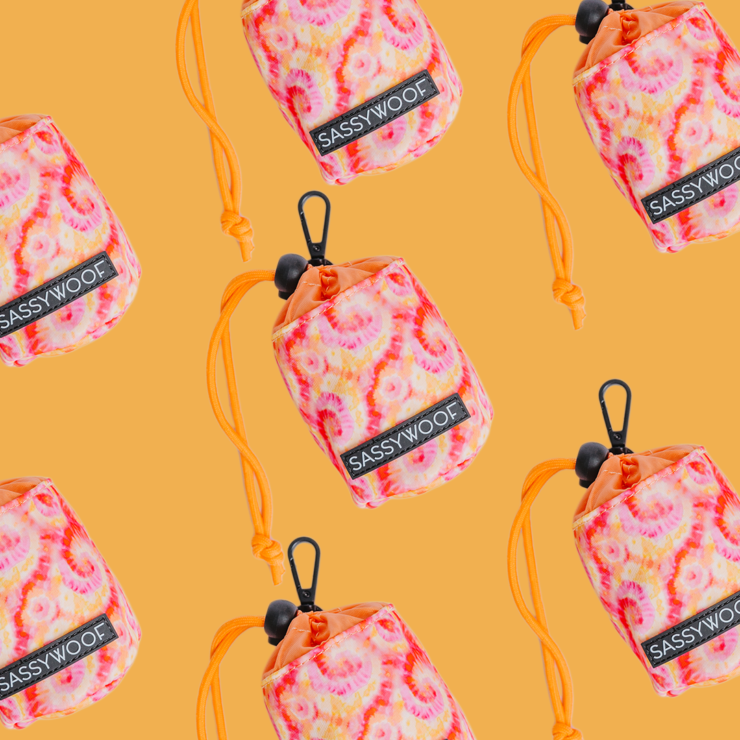 Treat Pouch - Summer Sorbet