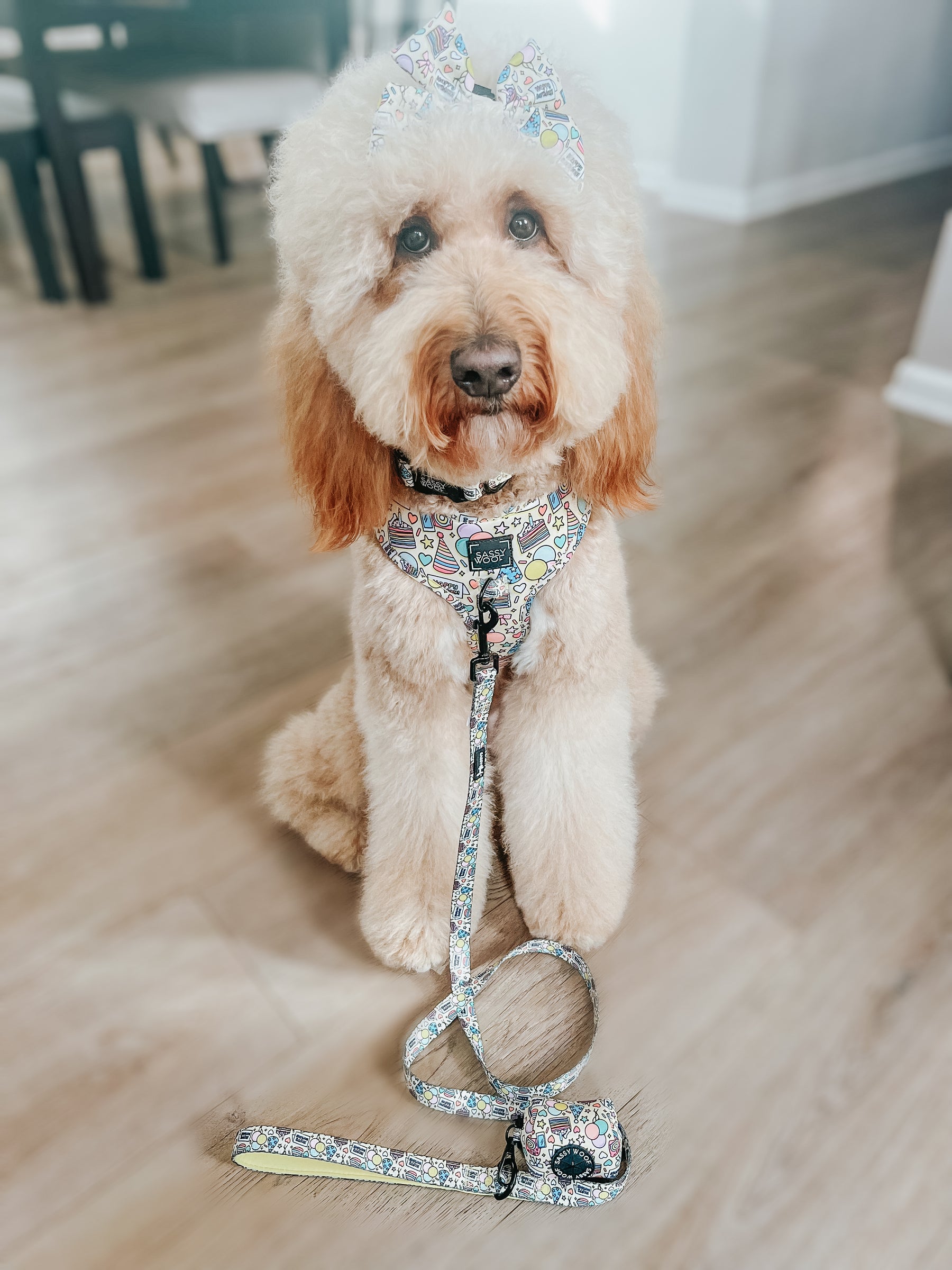 INFLUENCER_CONTENT | @TALESOFGINGERMAE