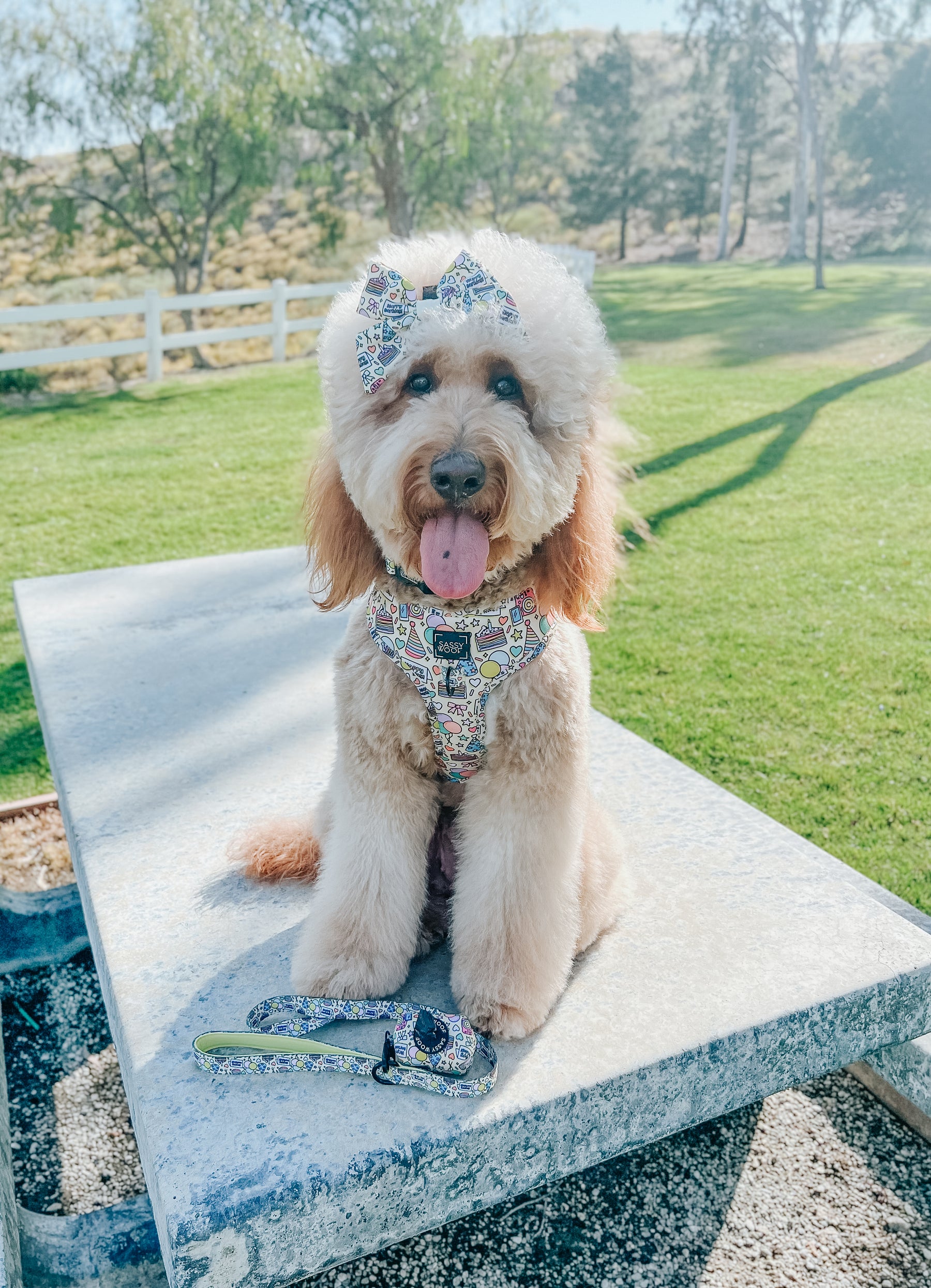 INFLUENCER_CONTENT | @TALESOFGINGERMAE