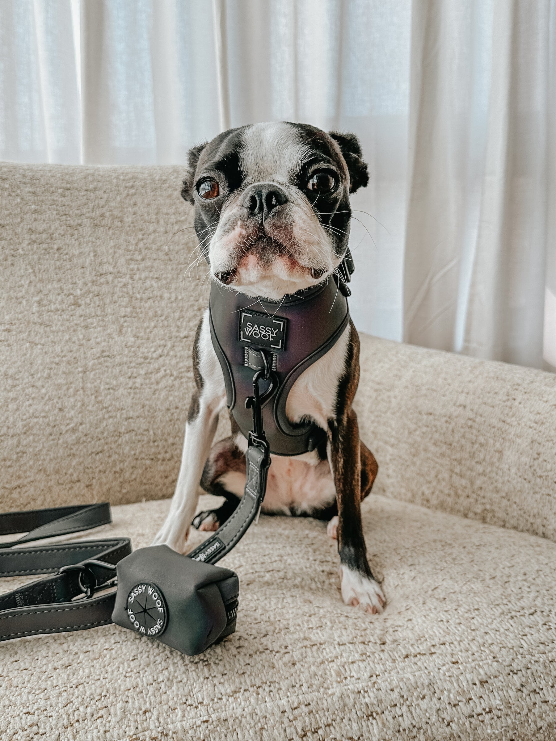 INFLUENCER_CONTENT | @THECHUNKY_AND_THEMONKEY | SIZE S