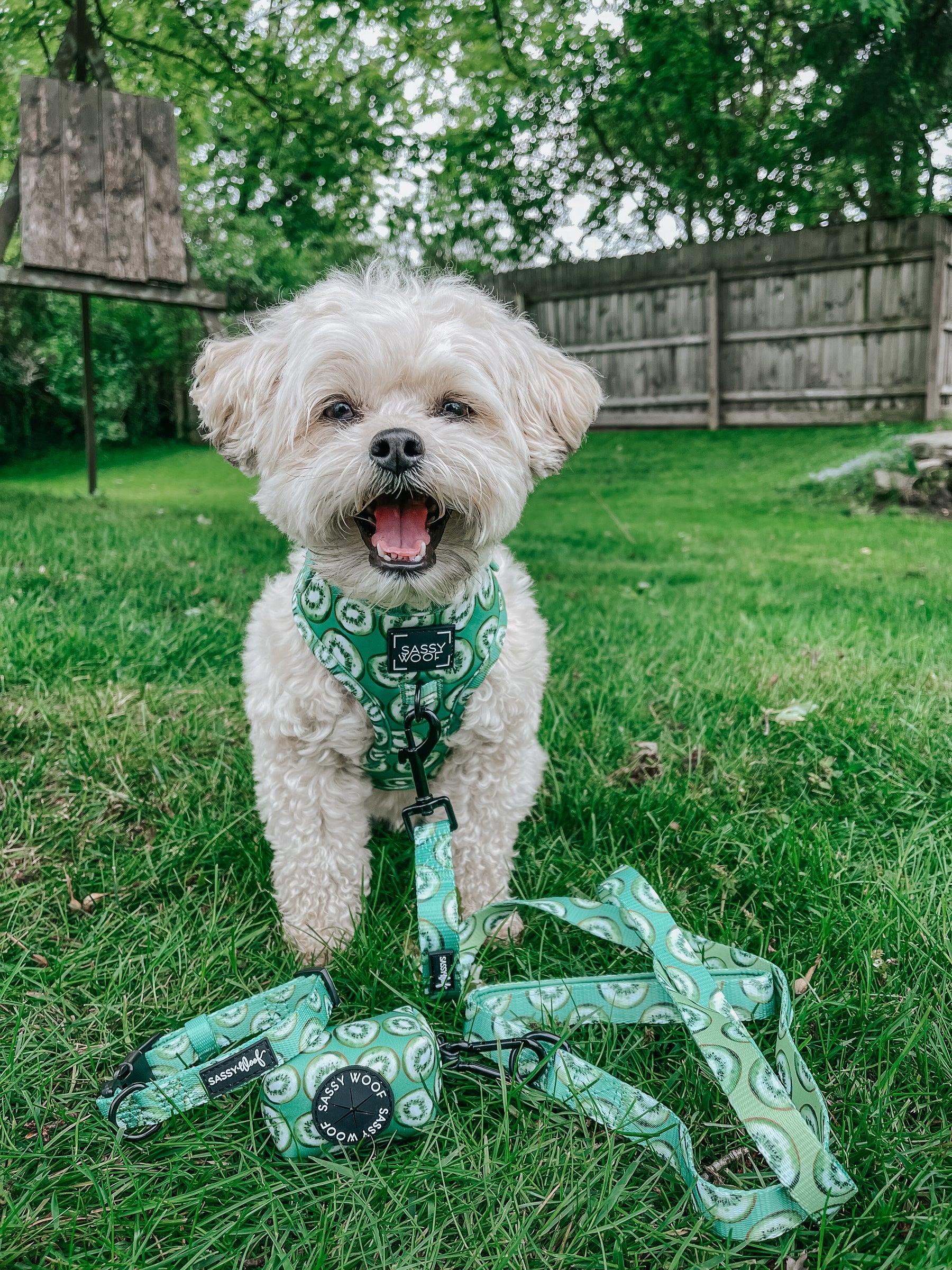 INFLUENCER_CONTENT | @THEPUPNAMEDPJ | SIZE XS