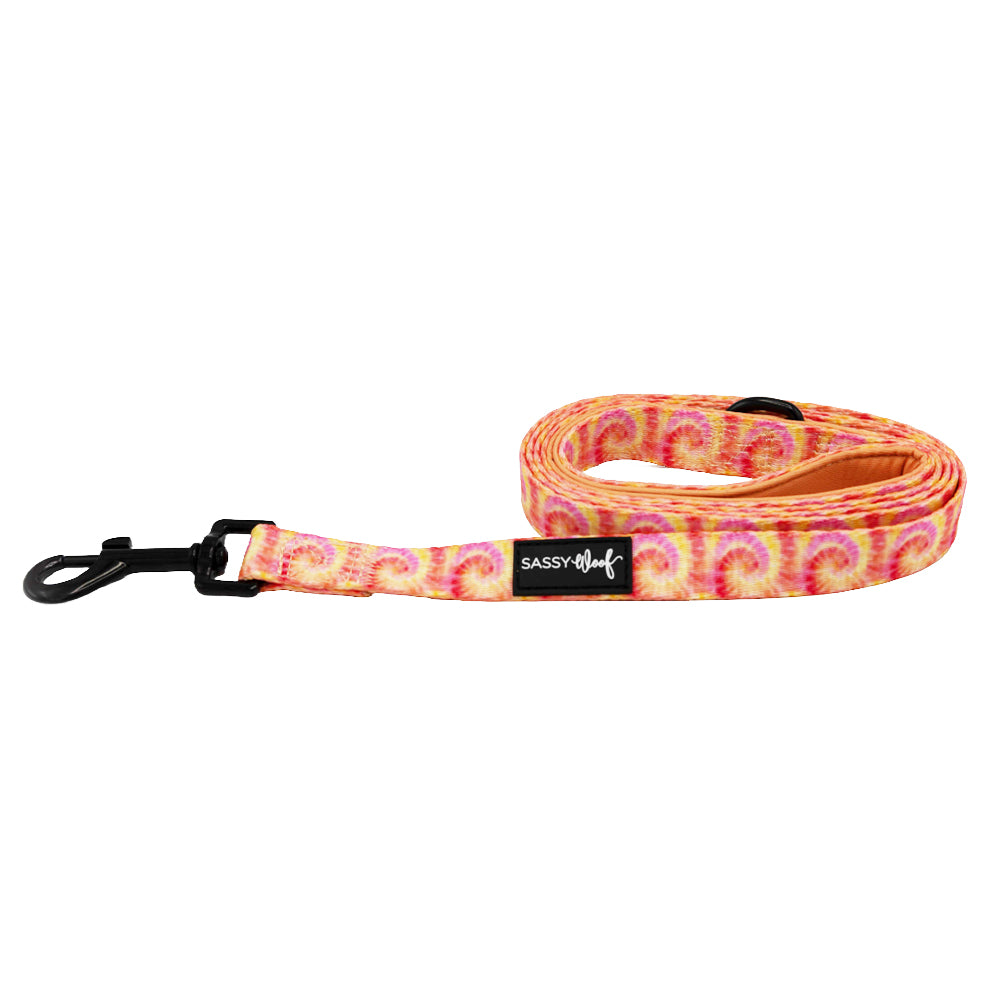 Dog Leash - Summer Sorbet