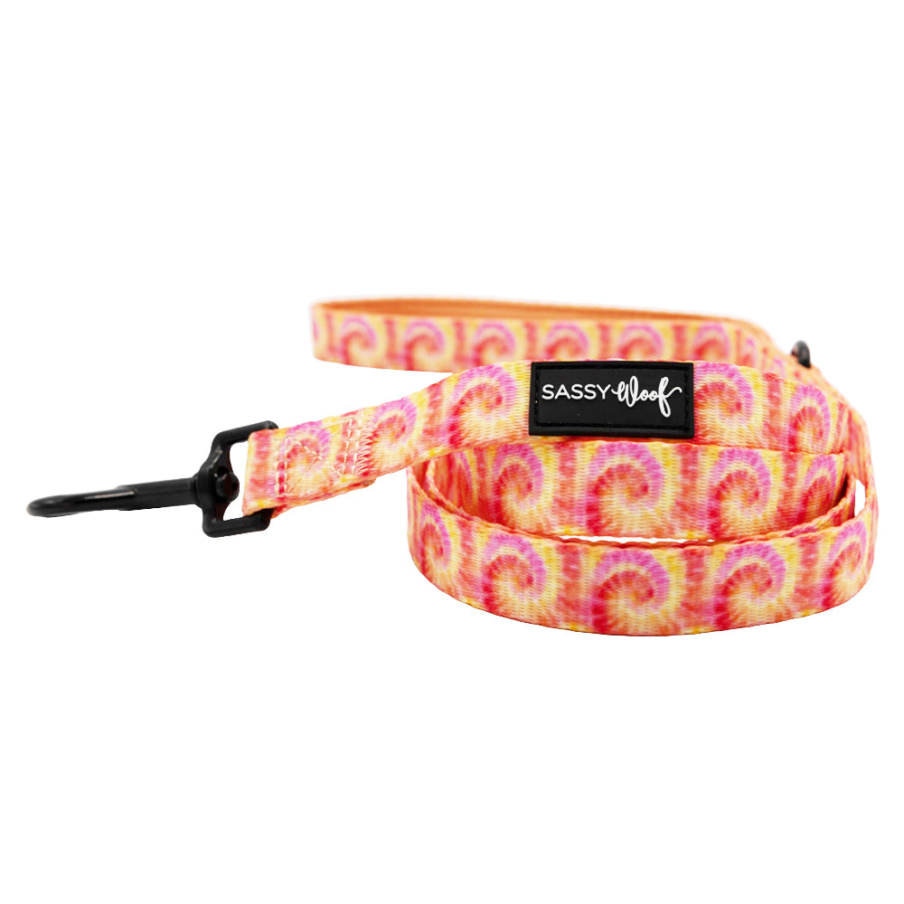 Dog Leash - Summer Sorbet