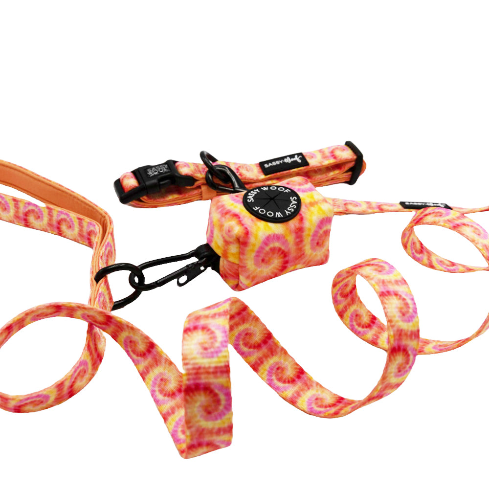 Dog Three Piece Bundle - Summer Sorbet