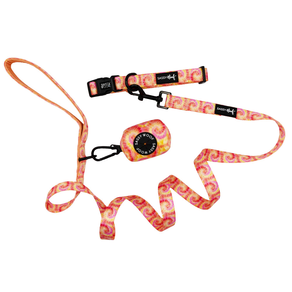 Dog Three Piece Bundle - Summer Sorbet
