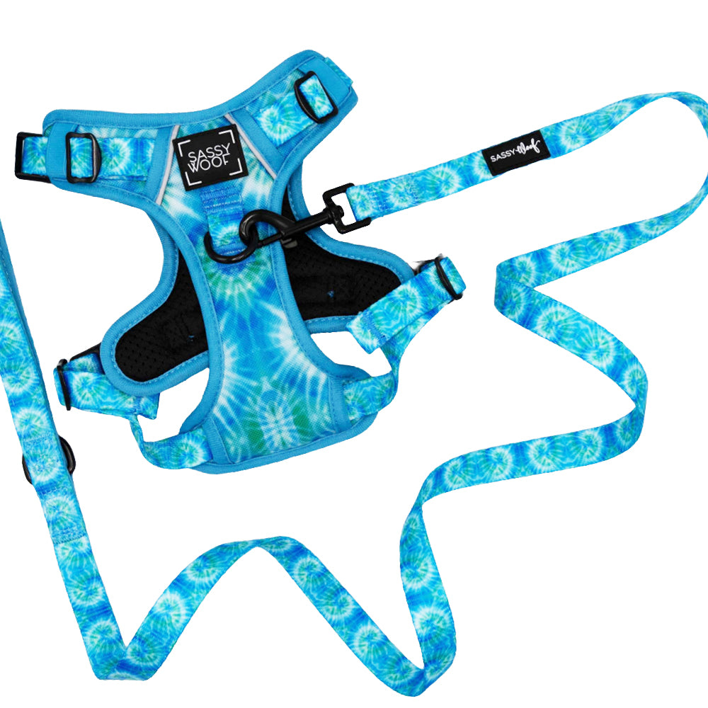 Dog Two Piece Bundle - Tropical Tides