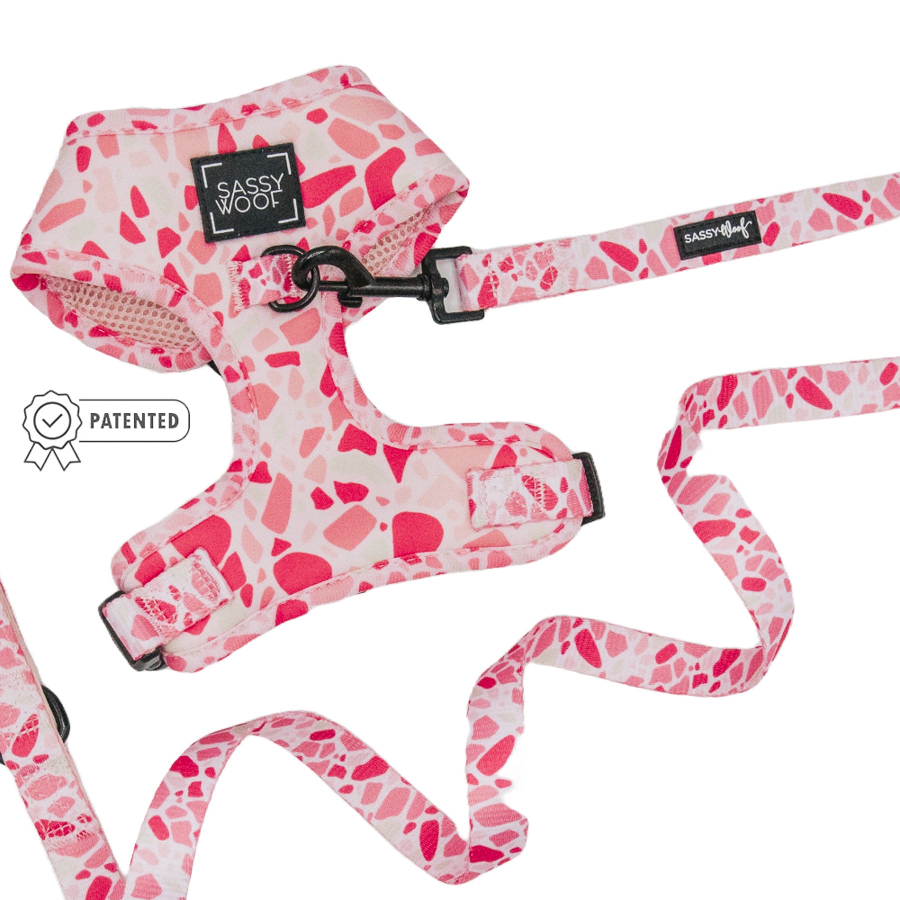 Dog Two Piece Bundle - Mykonos
