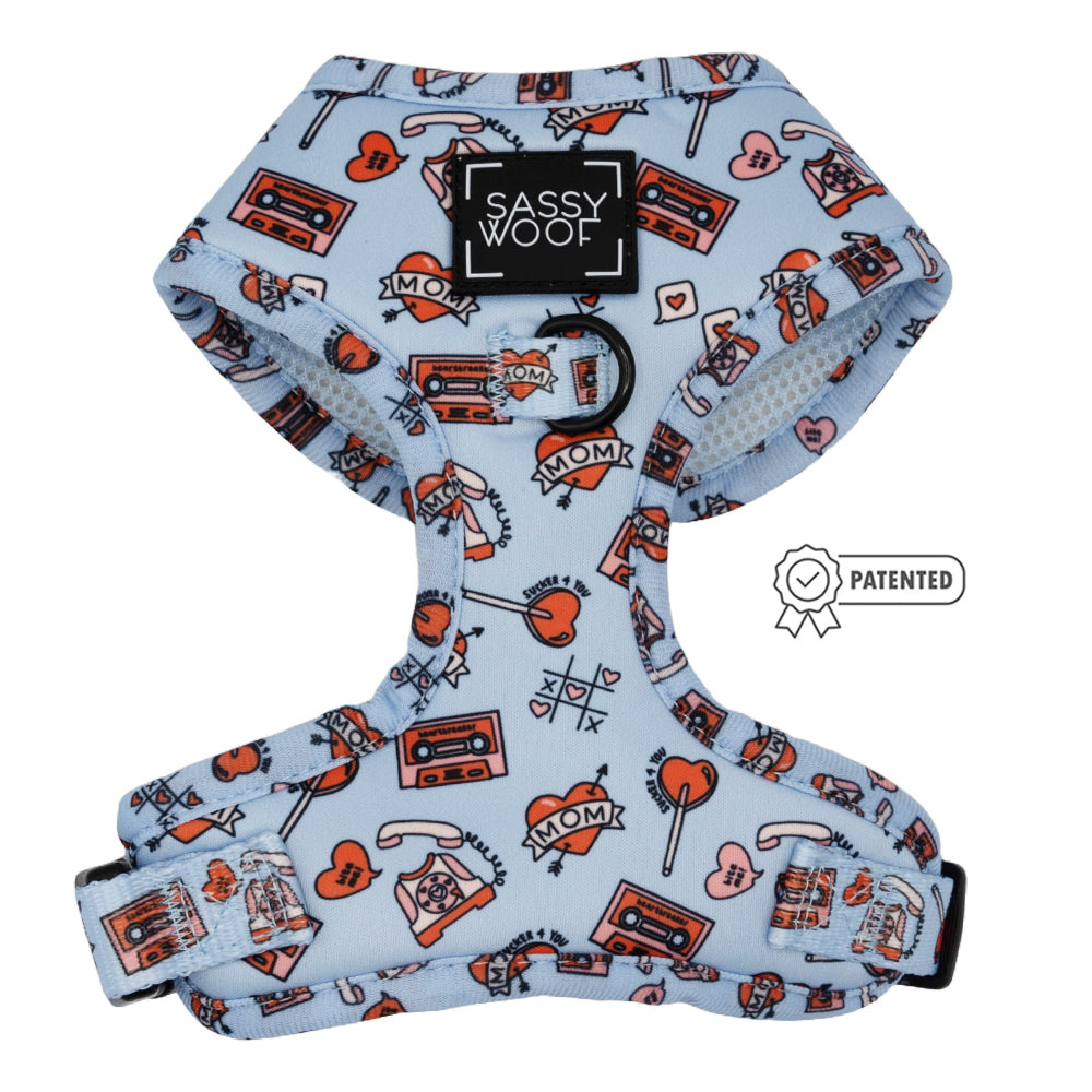 Dog Two Piece Bundle -  Heartbreaker