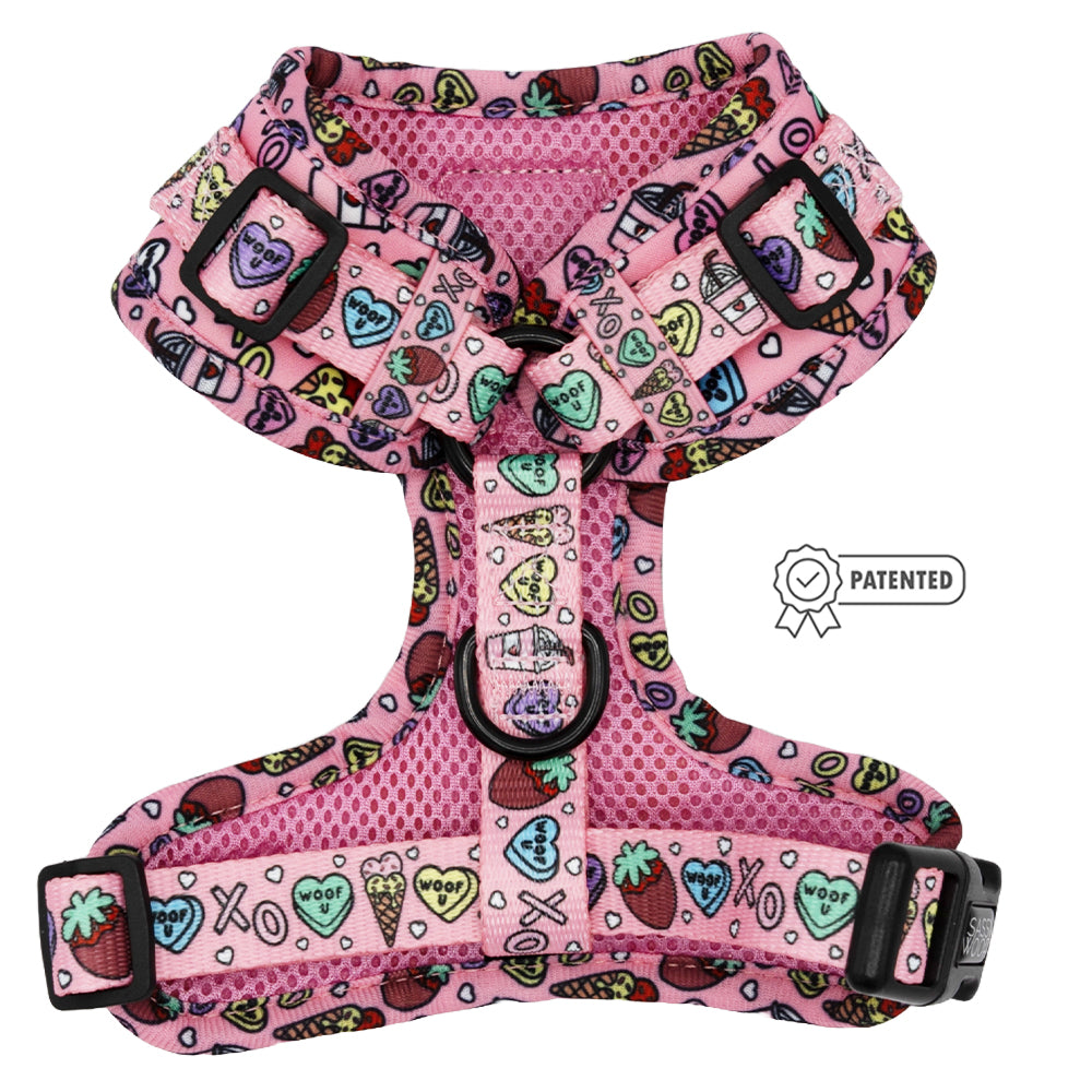 Dog Adjustable Harness - I Chews You