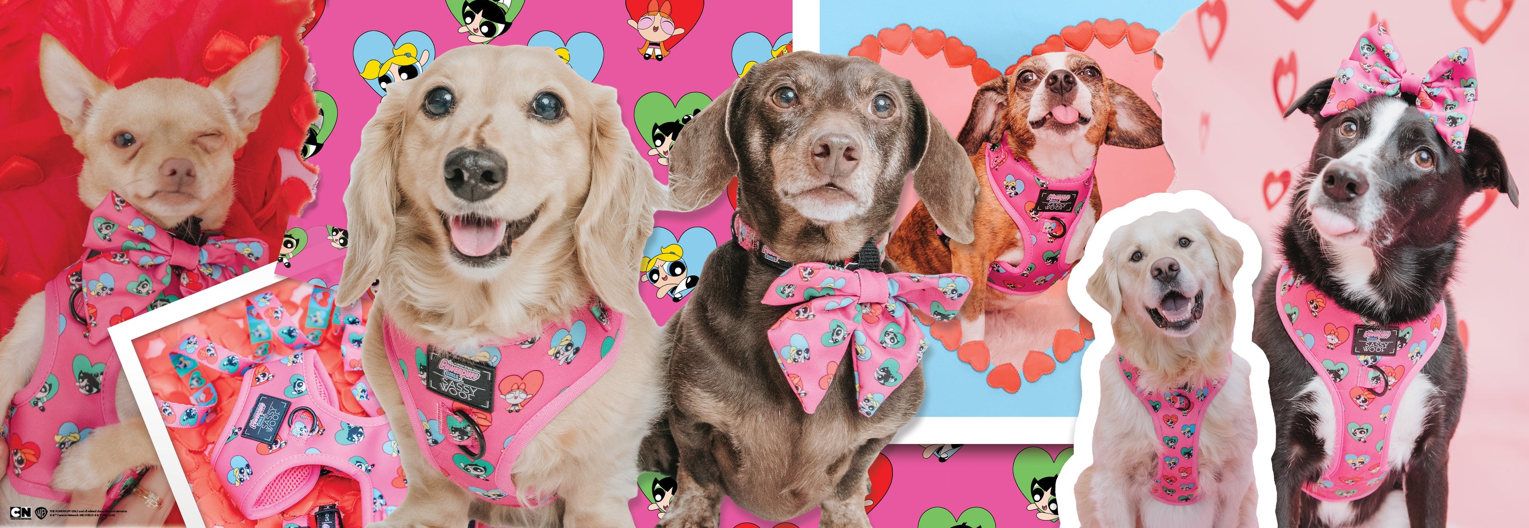 A group of dogs wearing pink Powerpuff Girls–themed harnesses and bowties pose in front of a colorful background with hearts and cartoon Powerpuff Girls characters.