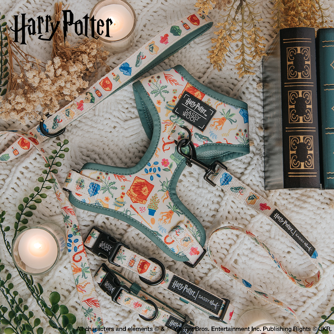 Harness Three Piece Bundle - Harry Potter™ Herbology