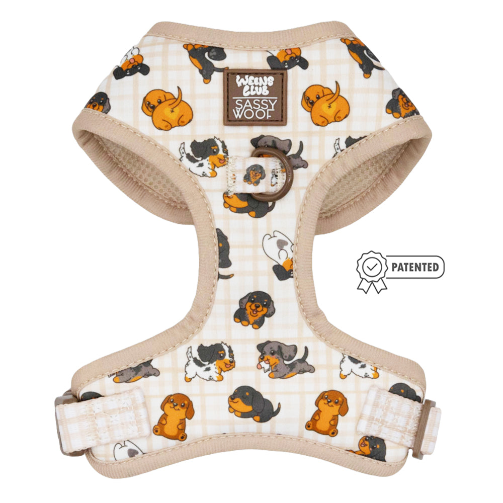 Dog Four Piece Bundle - Weens Club