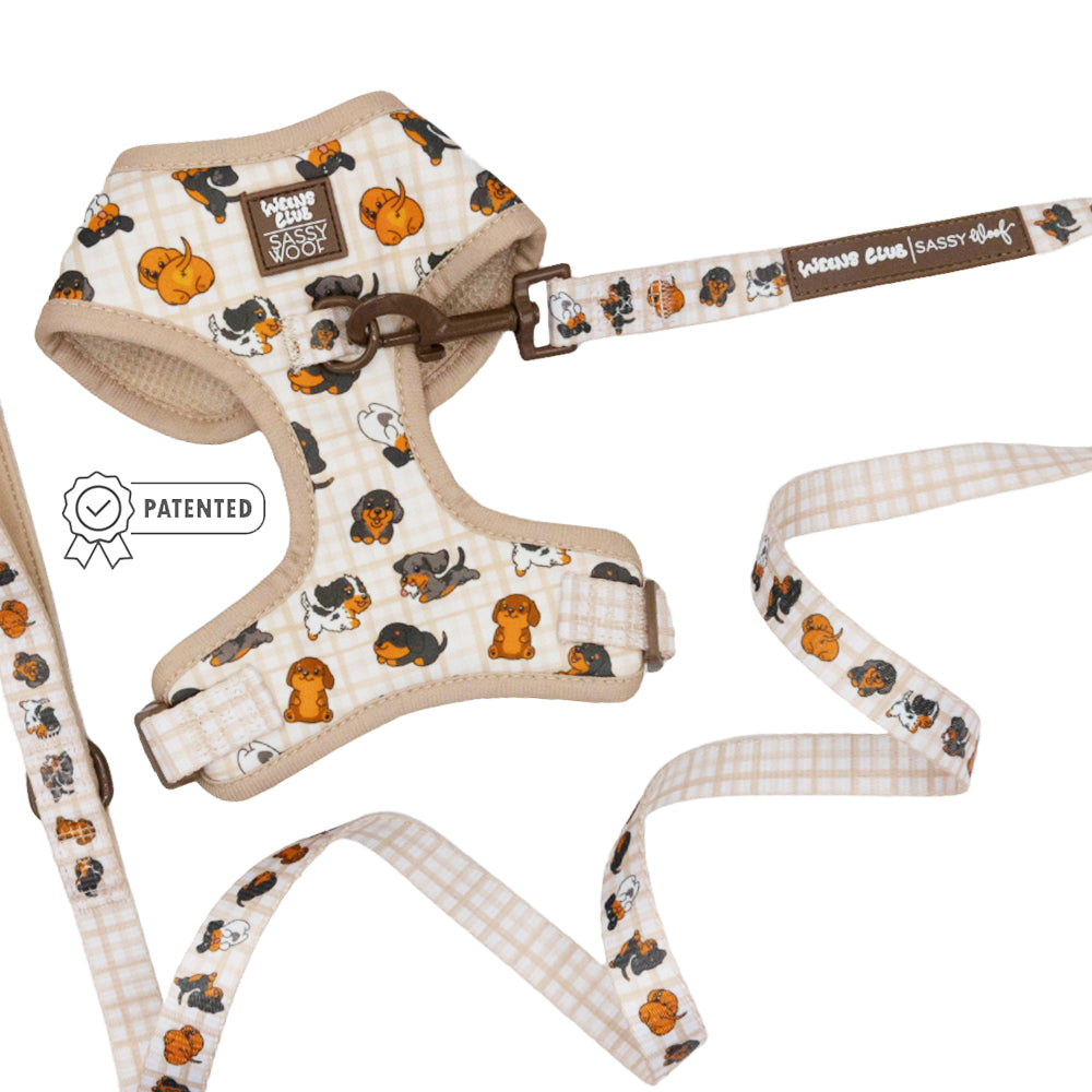 Dog Two Piece Bundle - Weens Club