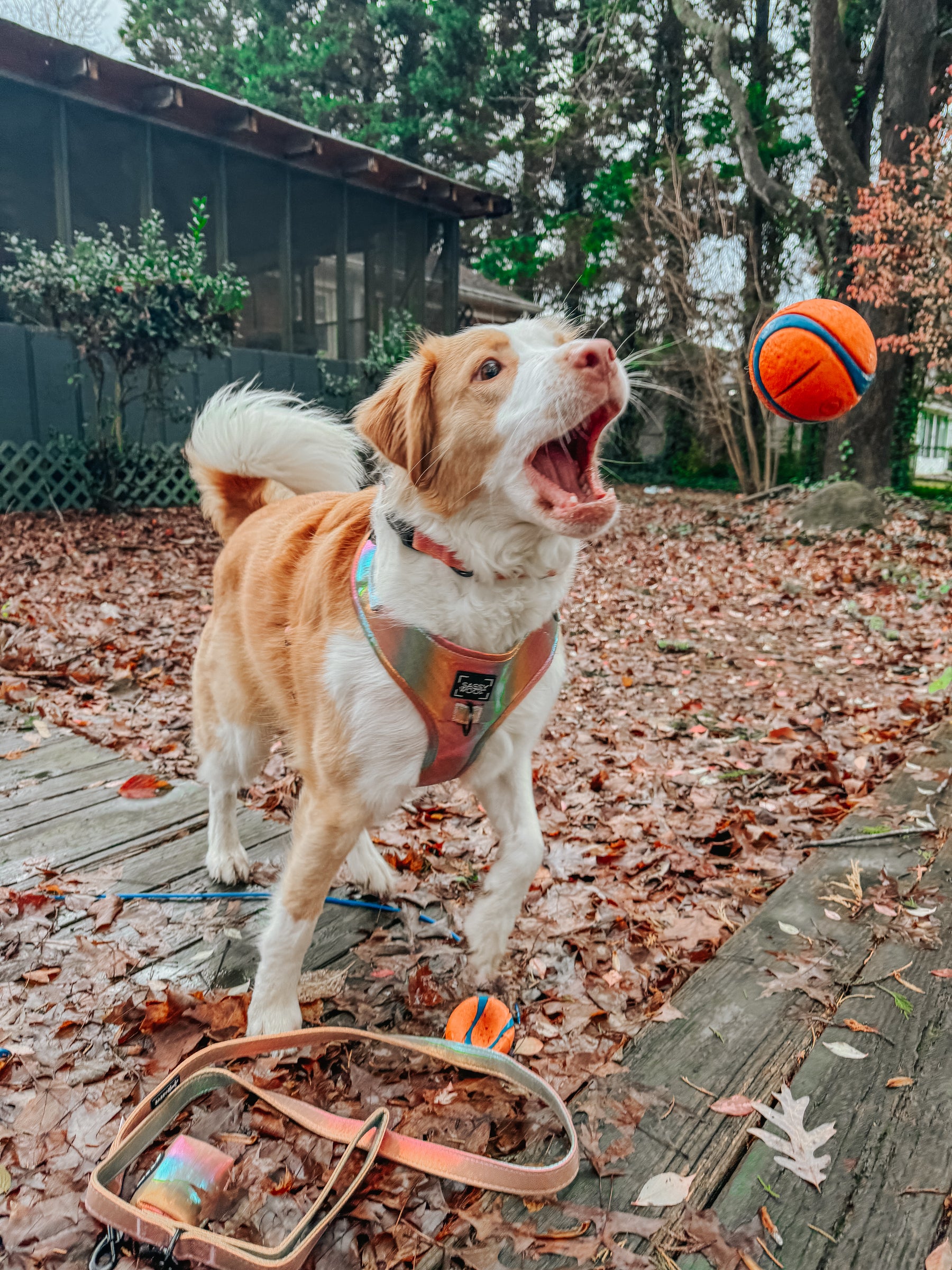 INFLUENCER_CONTENT | @WELLITSWILLOW | SIZE L