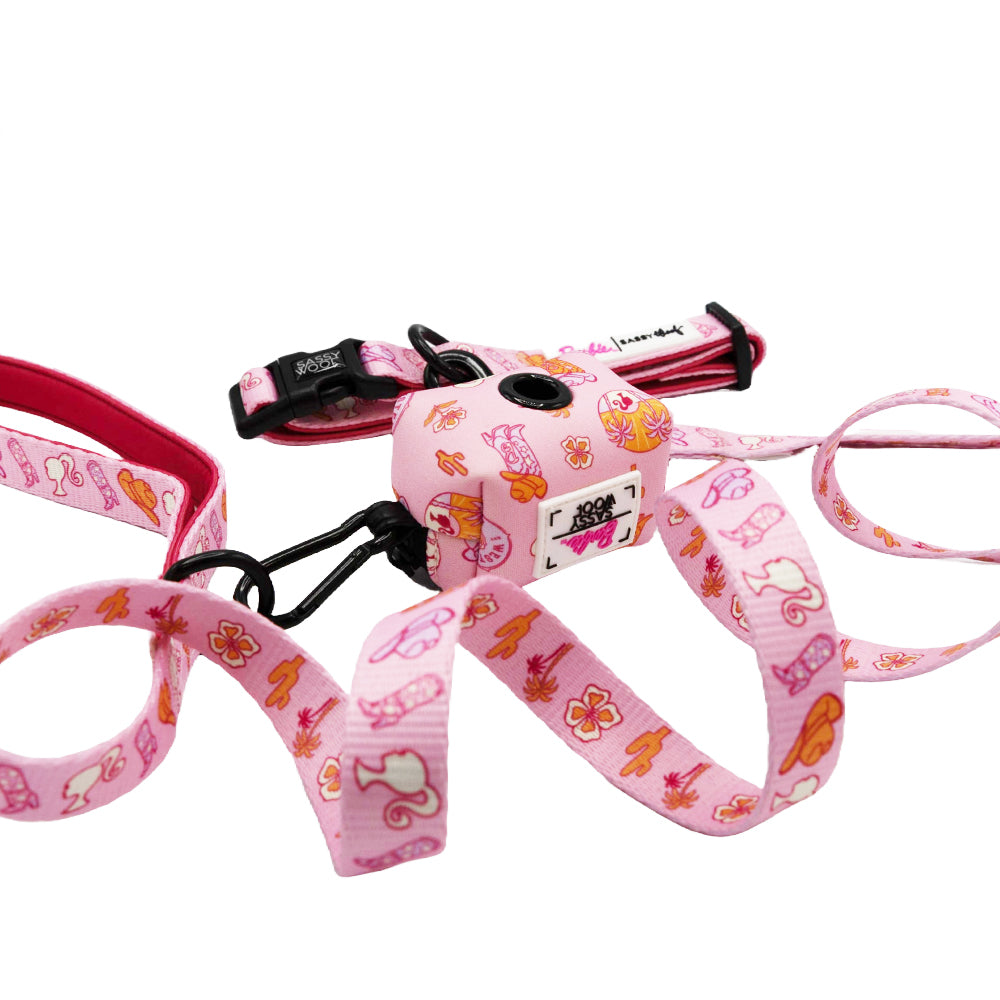 Dog Three Piece Bundle - Western Barbie™
