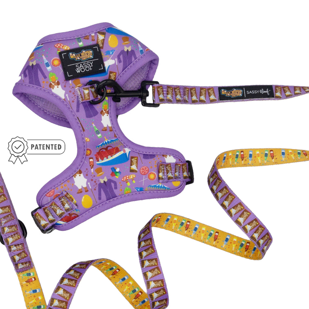 Dog Two Piece Bundle -  Willy Wonka & The Chocolate Factory™