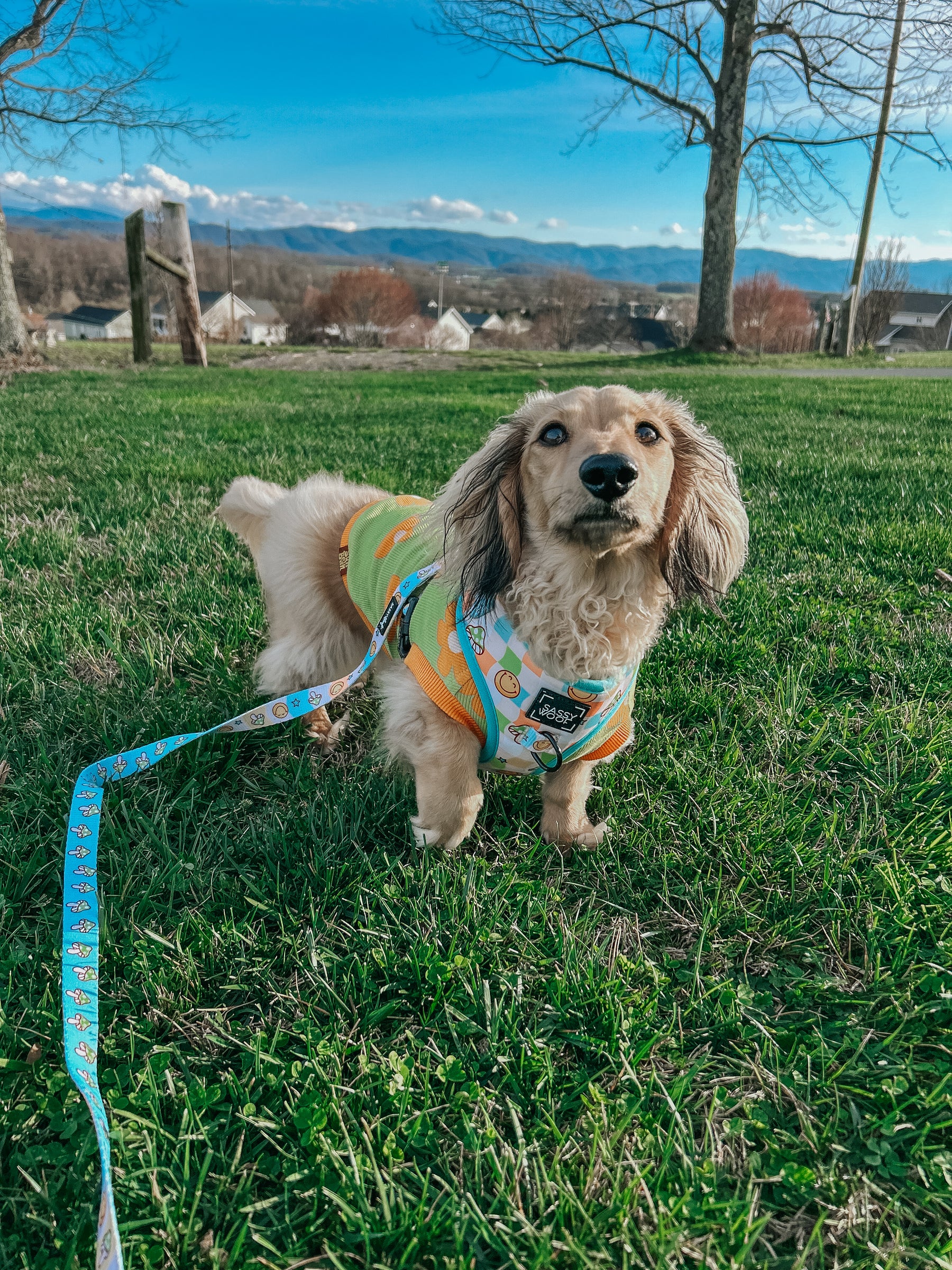 INFLUENCER_CONTENT | @WINSTONTHEWEENIEMAN | SIZE S