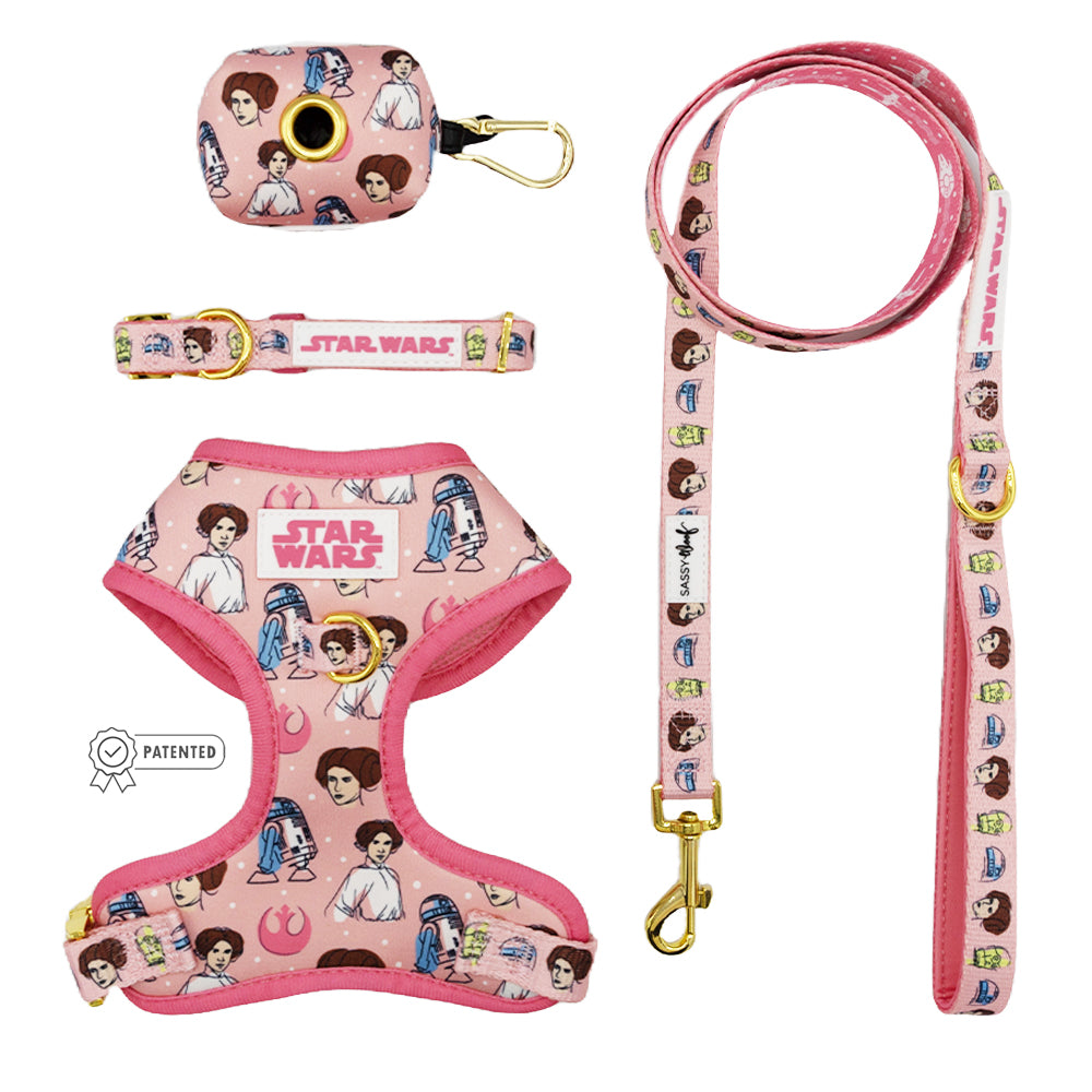 Dog Four Piece Bundle - STAR WARS™ Princess Leia