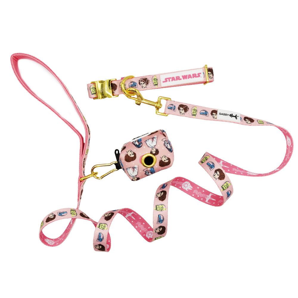 Dog Three Piece Bundle - STAR WARS™ Princess Leia