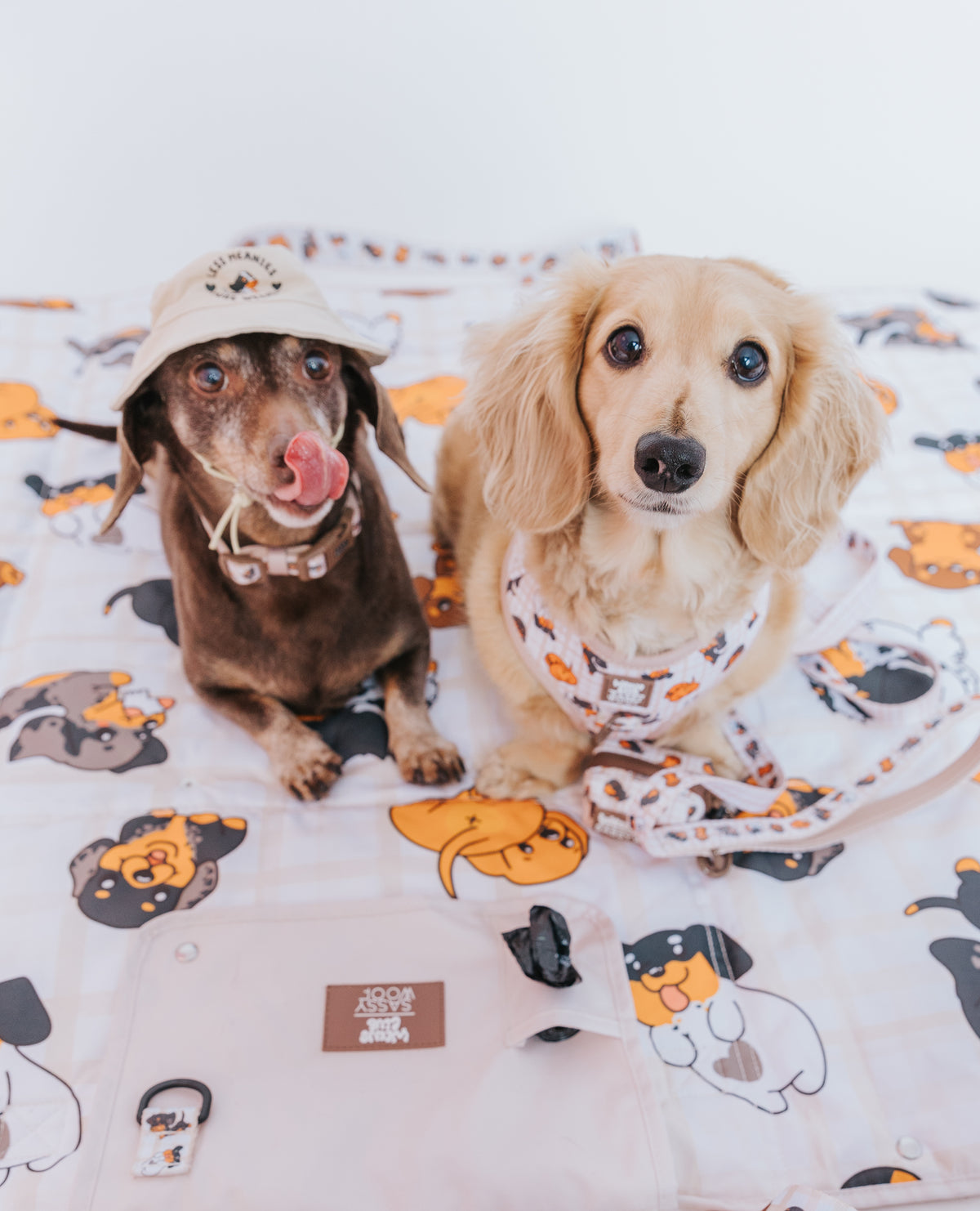Dog Picnic Blanket - Weens Club
