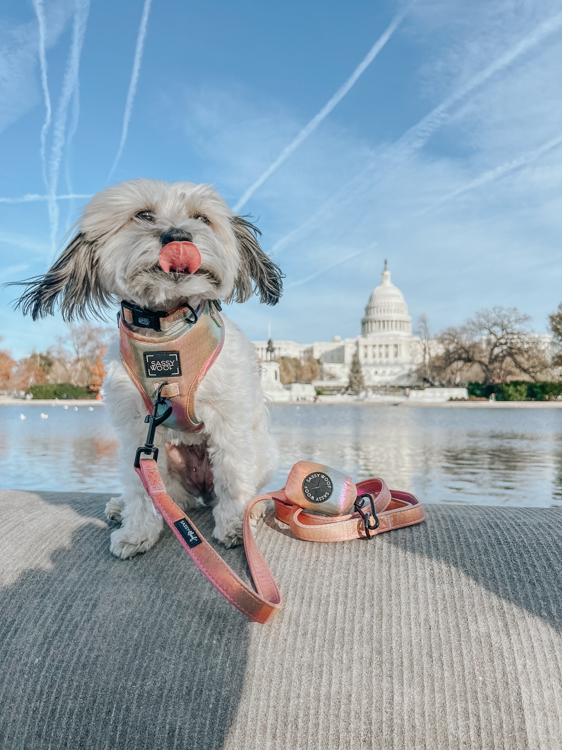 INFLUENCER_CONTENT | @YOUBERRABELIEVEIT | SIZE S