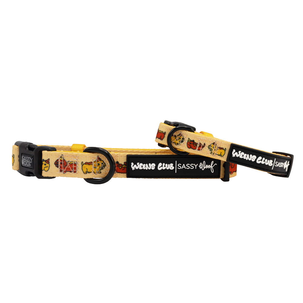 Two yellow Hot Dawg dog collars from Sassy Woof with black plastic buckles, metal rings, playful dog illustrations, and Weens Club and Sassy Woof branding.