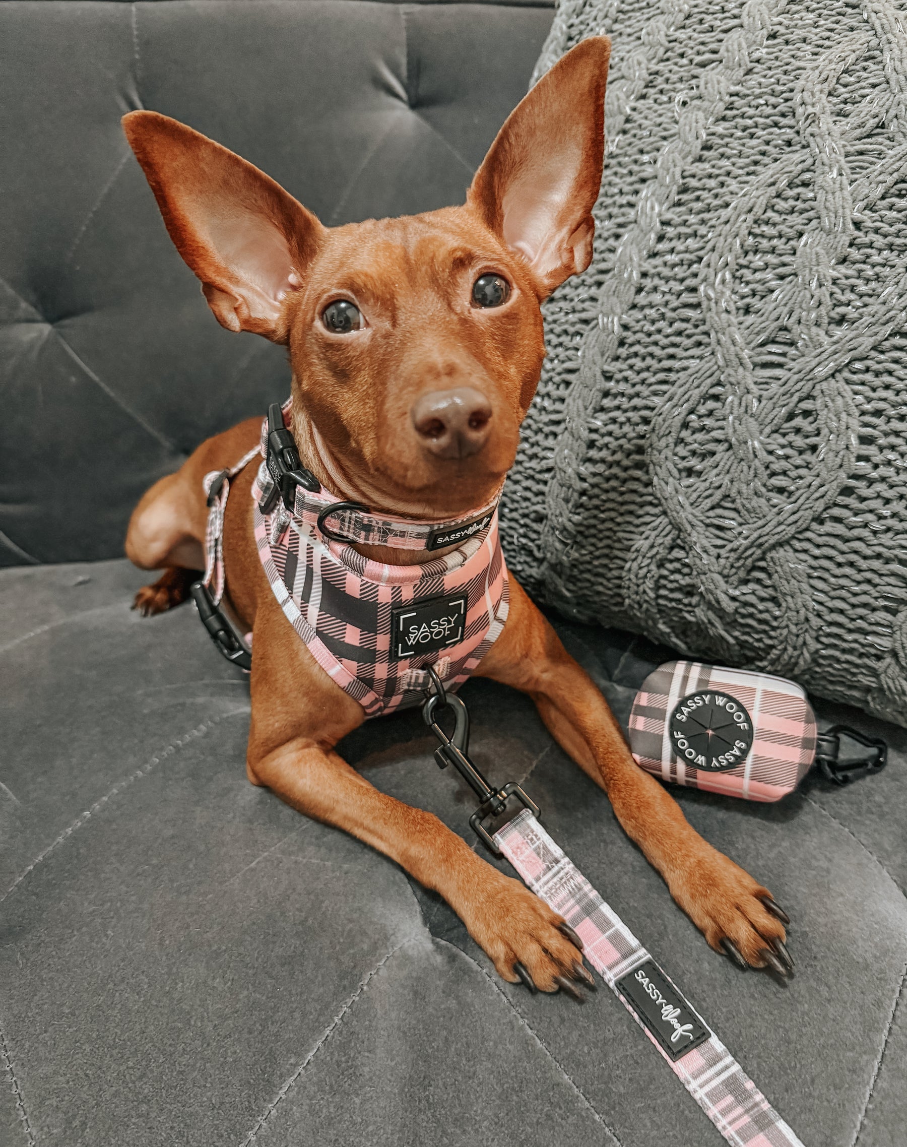 INFLUENCER_CONTENT | @ZEUS.THEMINPIN | SIZE S