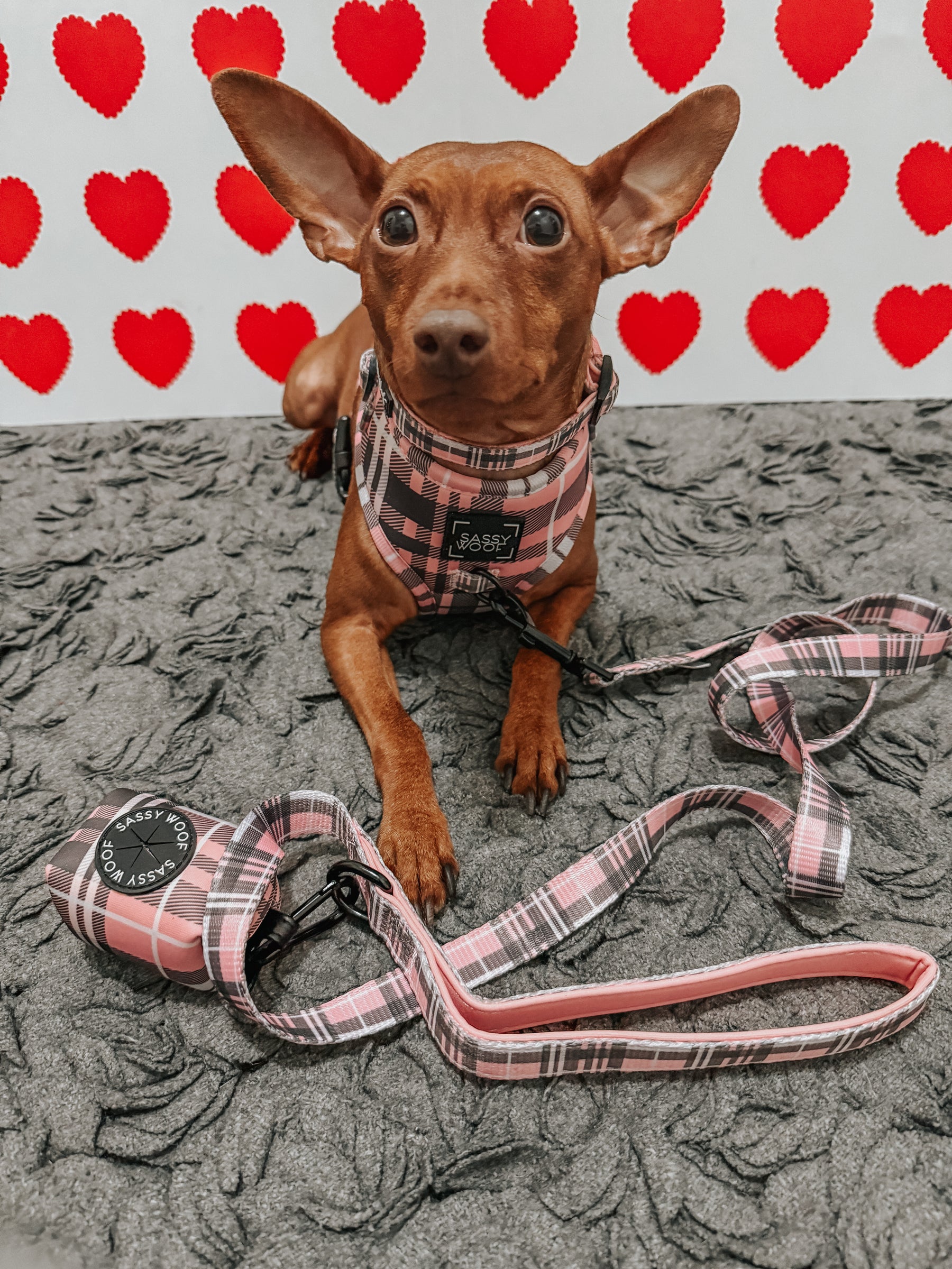 INFLUENCER_CONTENT | @ZEUS.THEMINPIN | SIZE XS