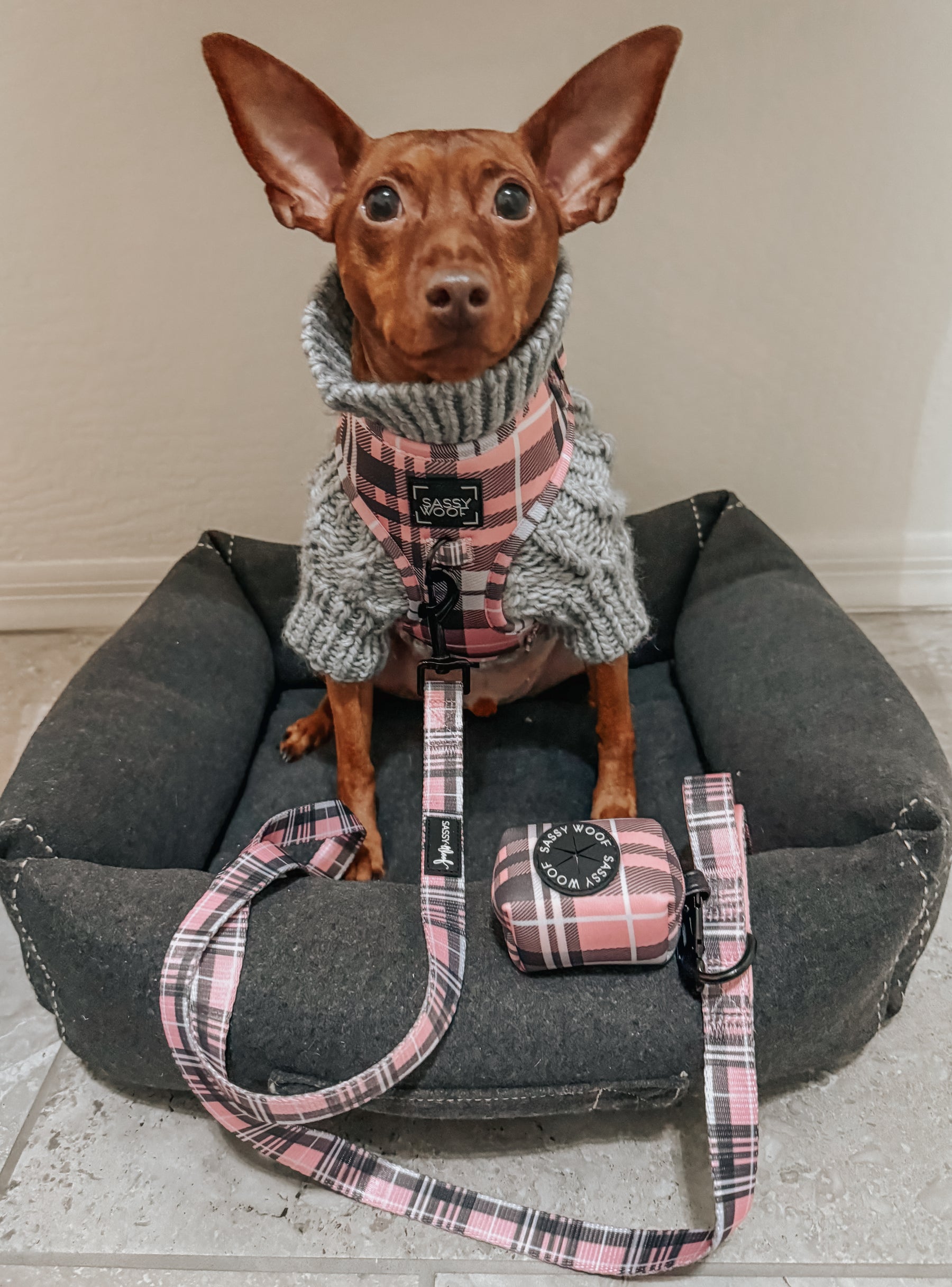 INFLUENCER_CONTENT | @ZEUS.THEMINPIN | SIZE XS