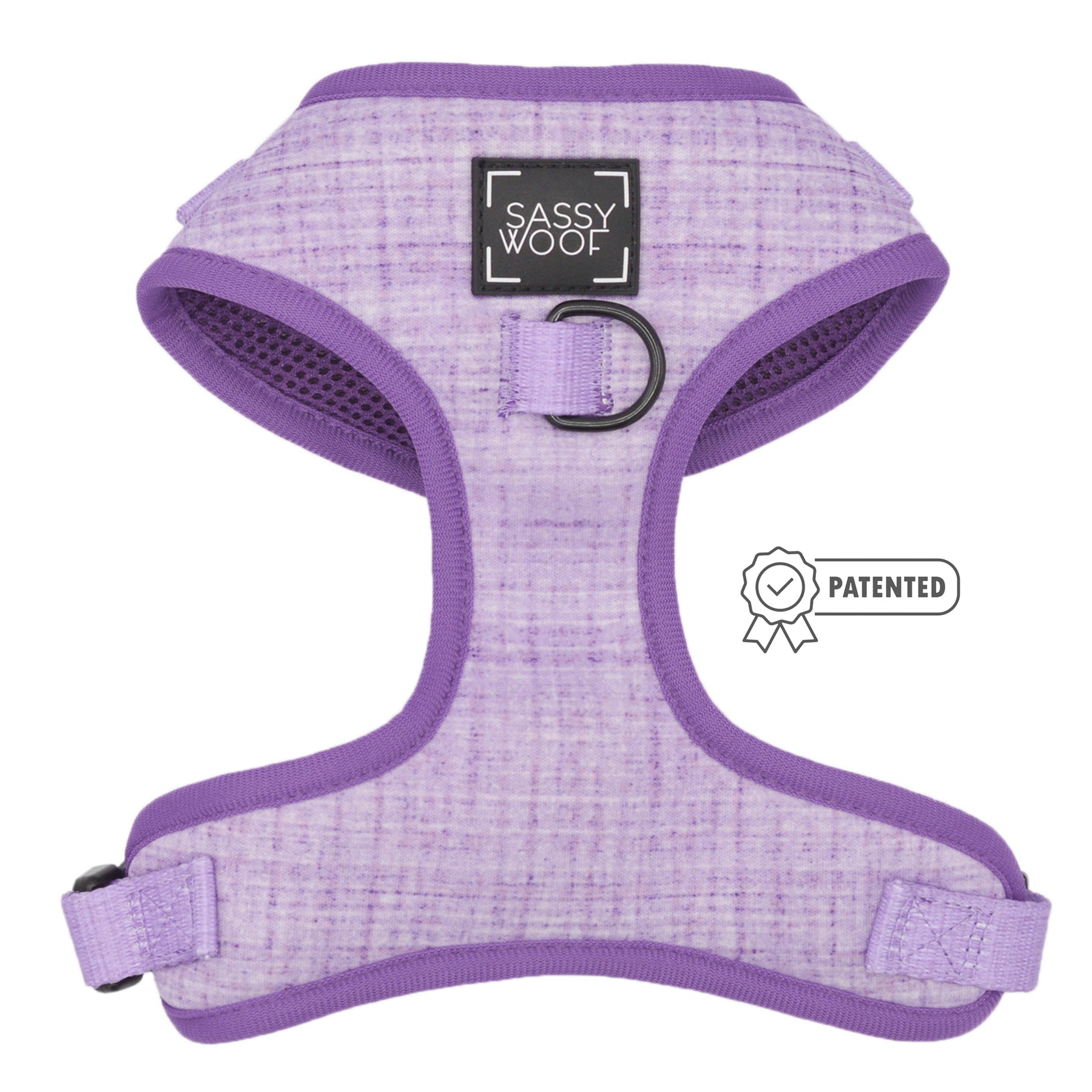 Dog Two Piece Bundle - Aurora