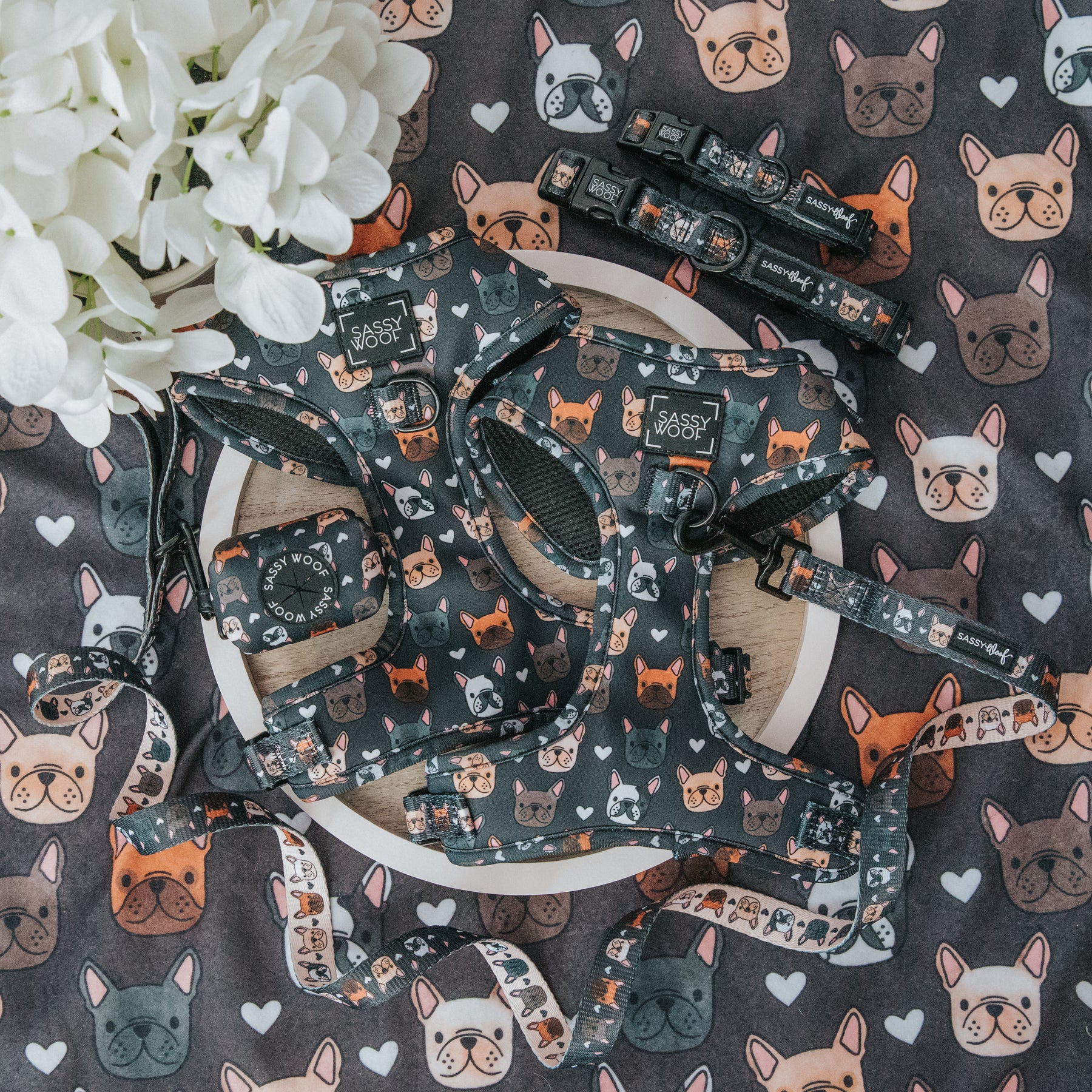 Dog Bundle - Fab Frenchies