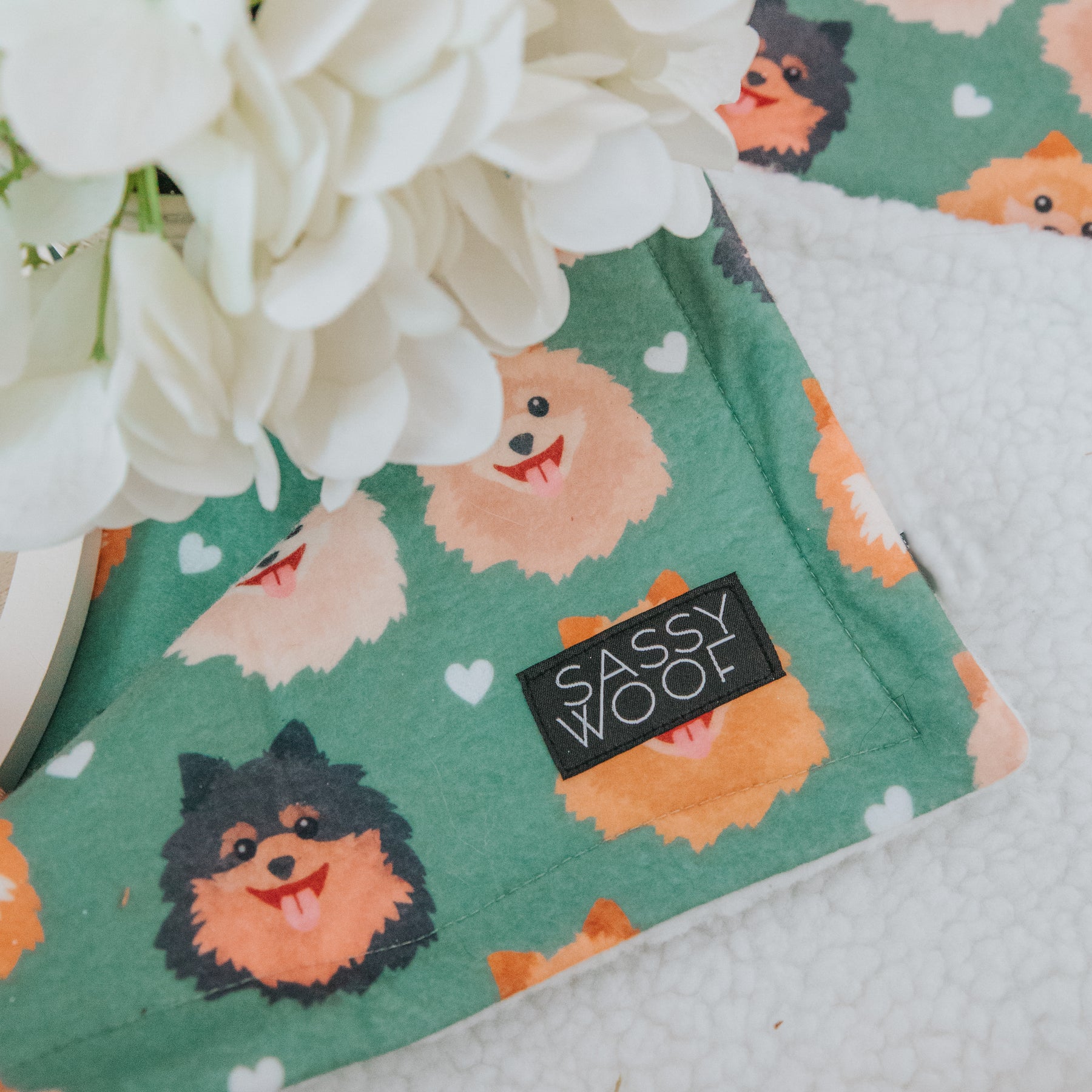 Pet Blanket - Pawfect Poms