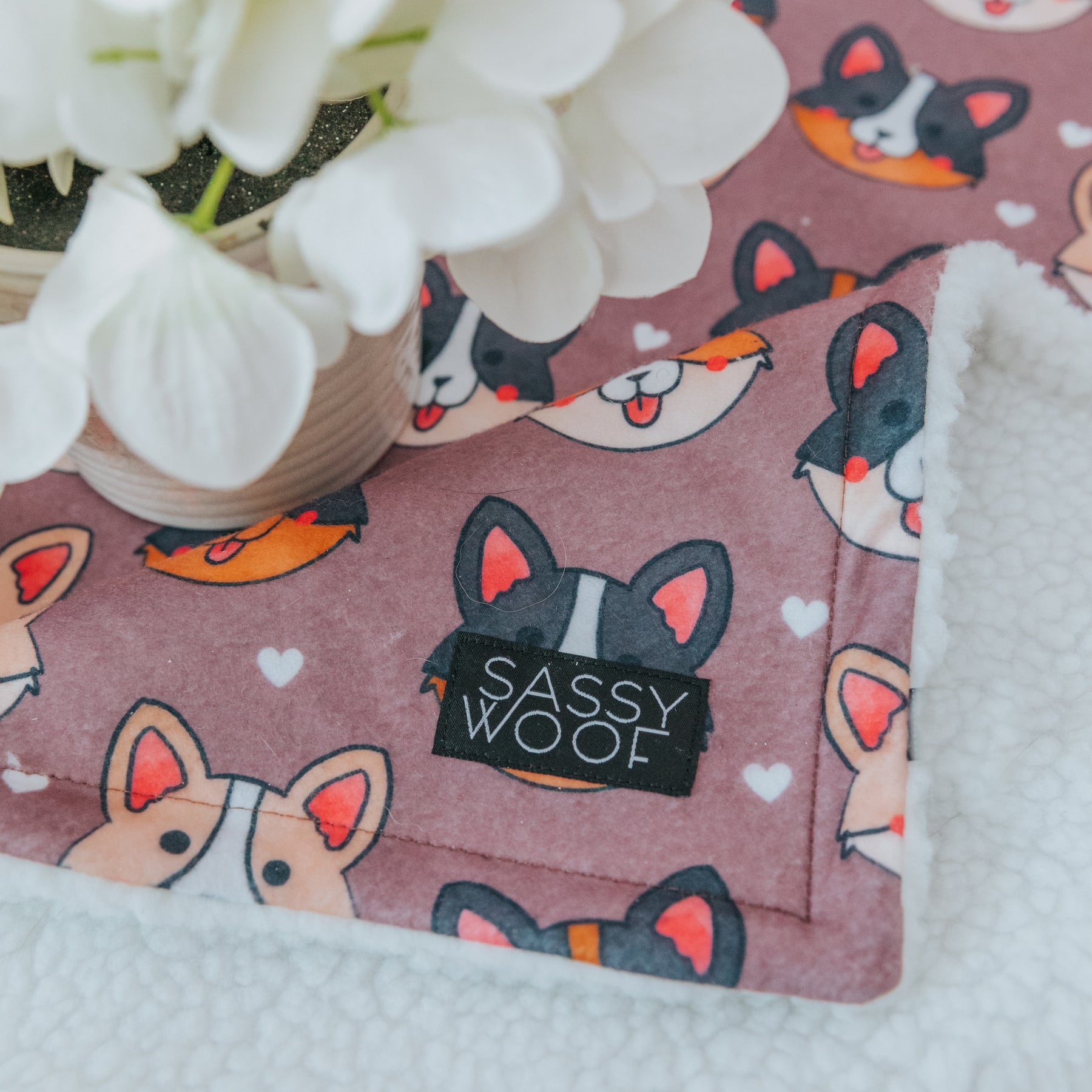 Pet Blanket - Cuddly Corgis