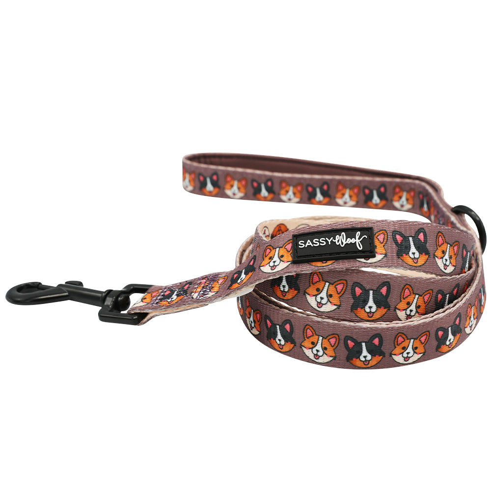 Dog Leash - Cuddly Corgis