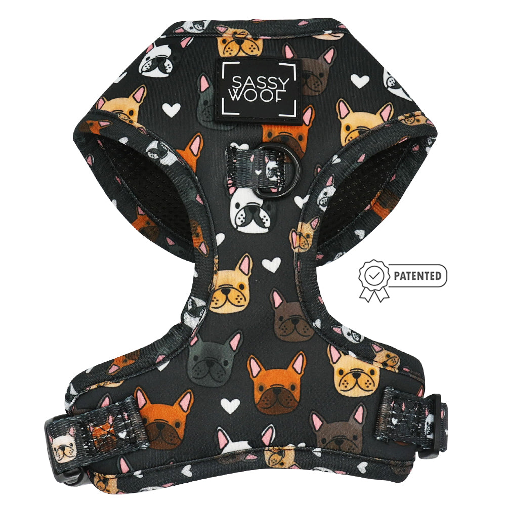 Dog Bundle - Fab Frenchies