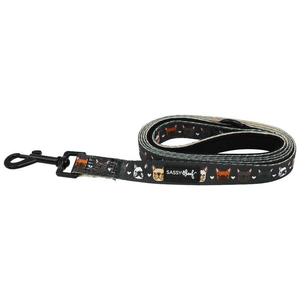 Dog Leash - Fab Frenchies