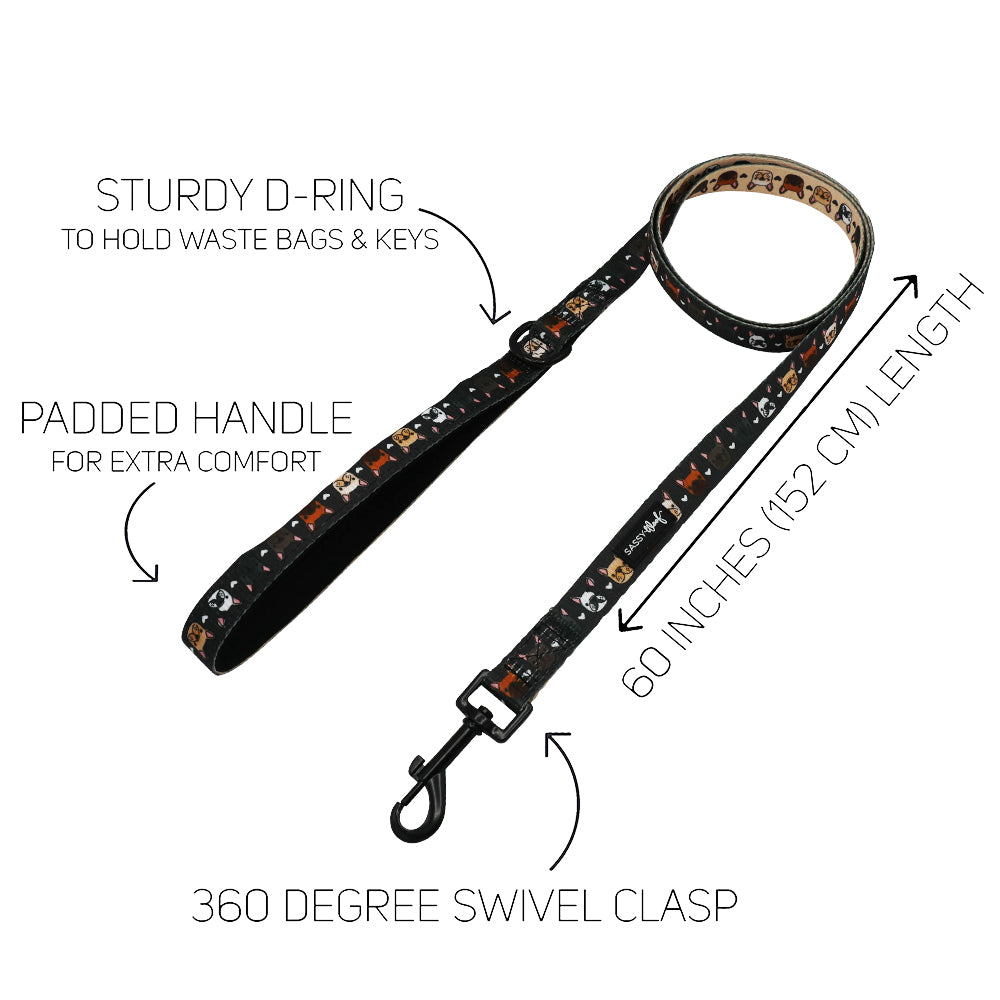 Dog Leash - Fab Frenchies