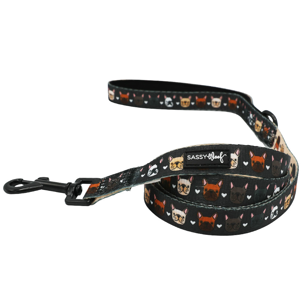 Dog Leash - Fab Frenchies