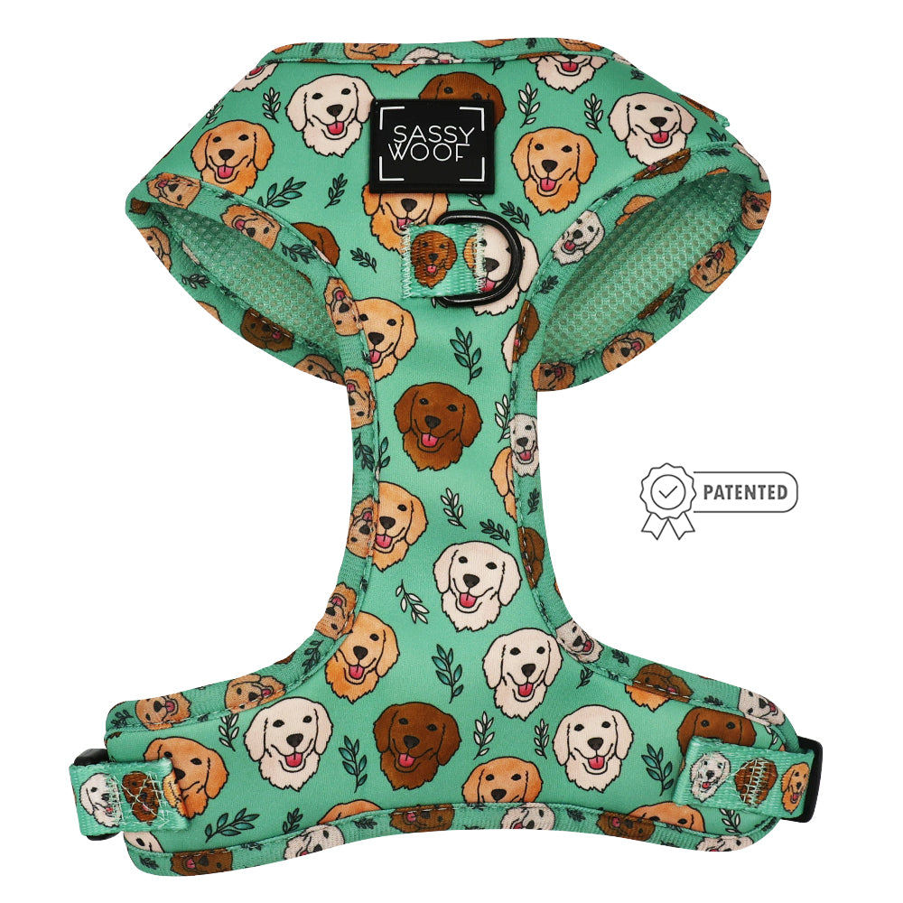 Dog Adjustable Harness Glam Goldens Sassy Woof Product