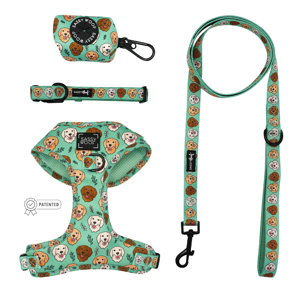 Dog Bundle - Glam Goldens