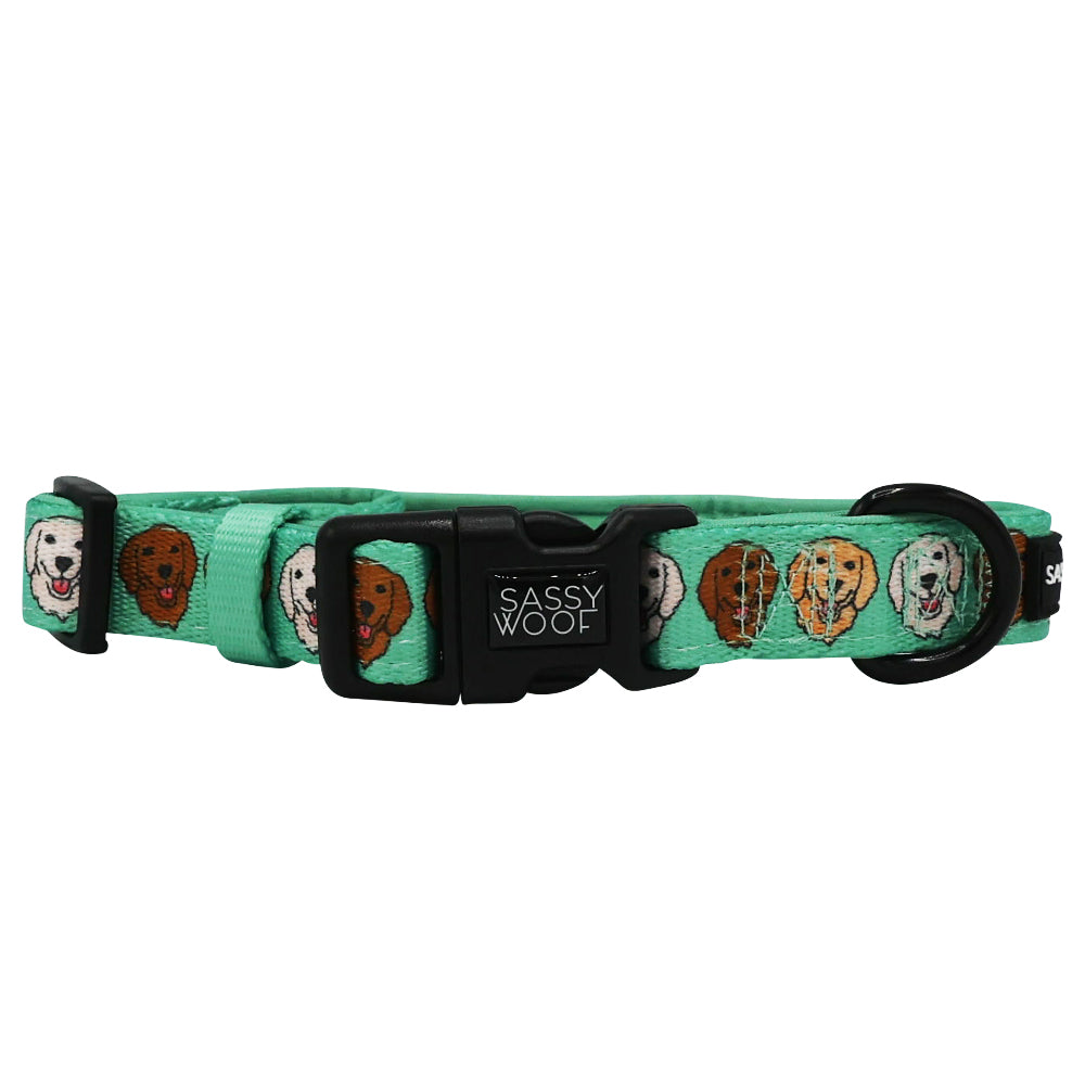 Dog Bundle - Glam Goldens
