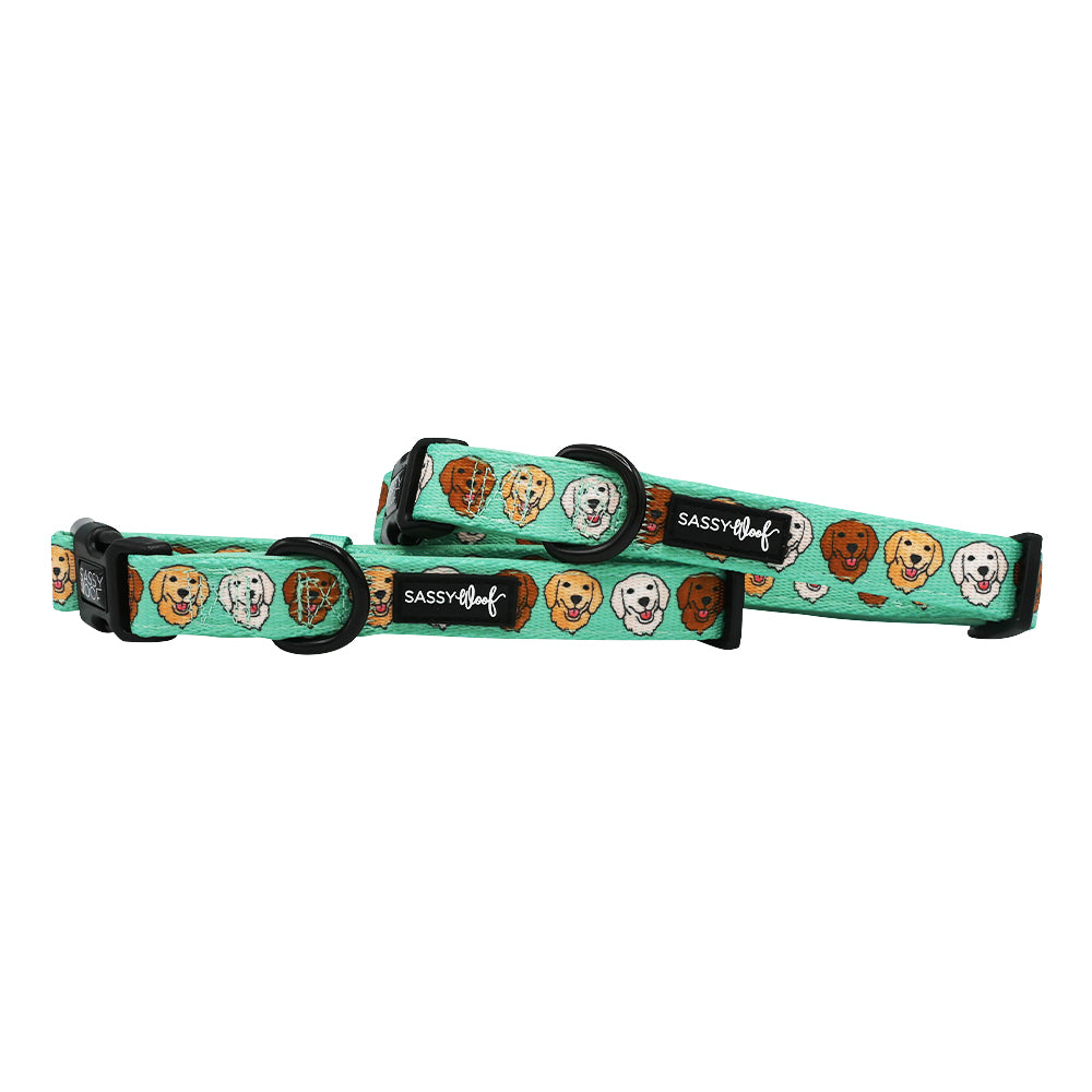 Dog Collar - Glam Goldens