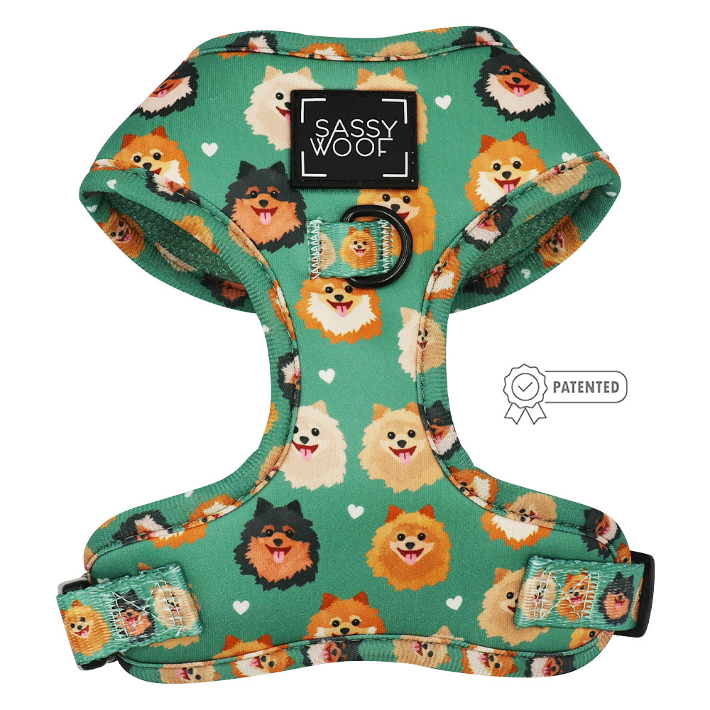 Dog Adjustable Harness Pawfect Poms Sassy Woof Product