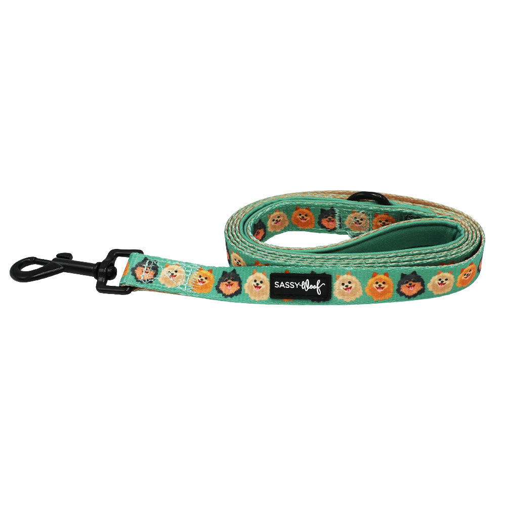 Dog Leash - Pawfect Poms