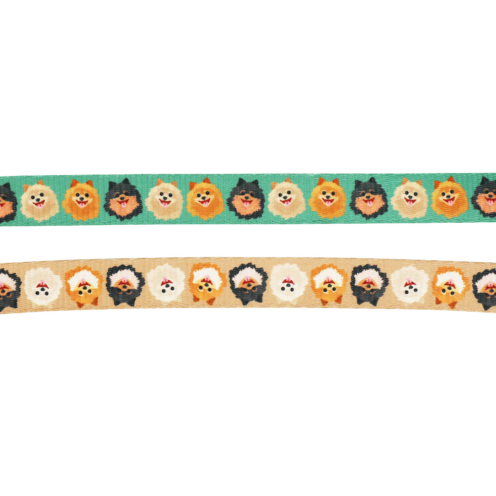 Dog Leash - Pawfect Poms