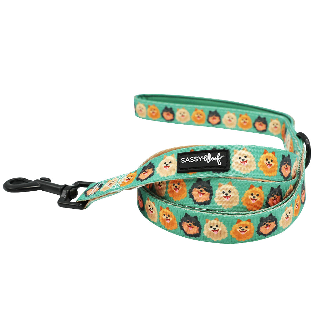 Dog Leash - Pawfect Poms