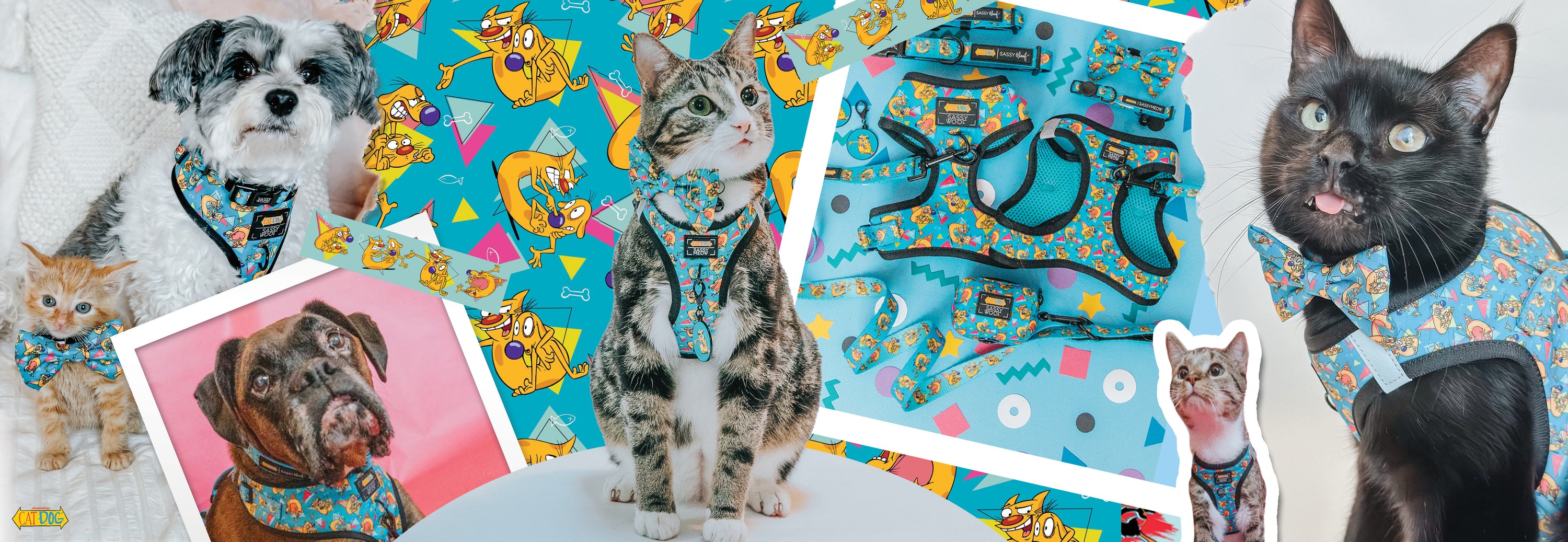 A collage featuring cats and dogs wearing and posing with colorful pet accessories decorated with cartoon cats and geometric shapes, set against vibrant blue and pink backgrounds.