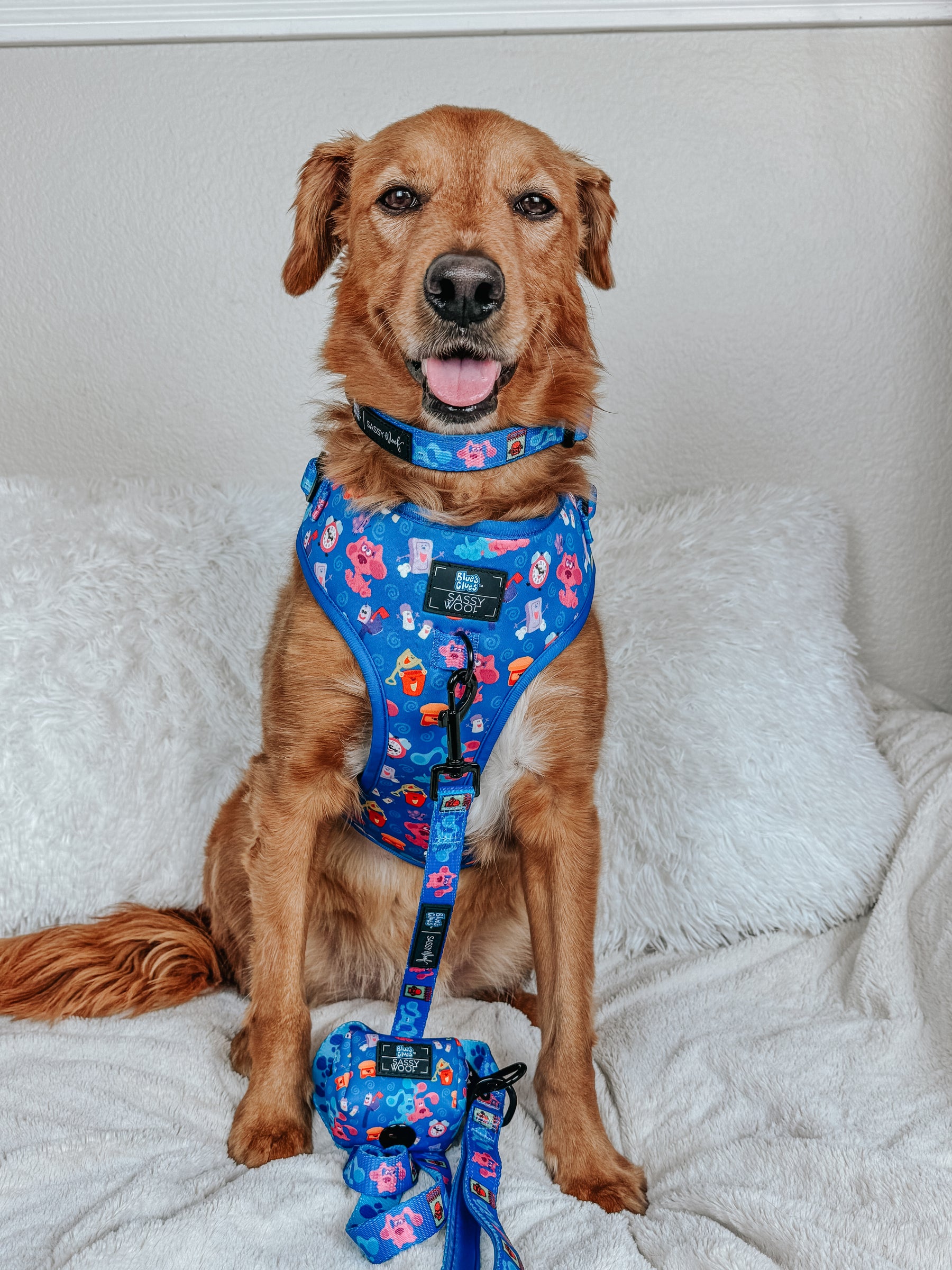 INFLUENCER_CONTENT | @CHANCE_THE_MINI_GOLDEN | SIZE L & XL